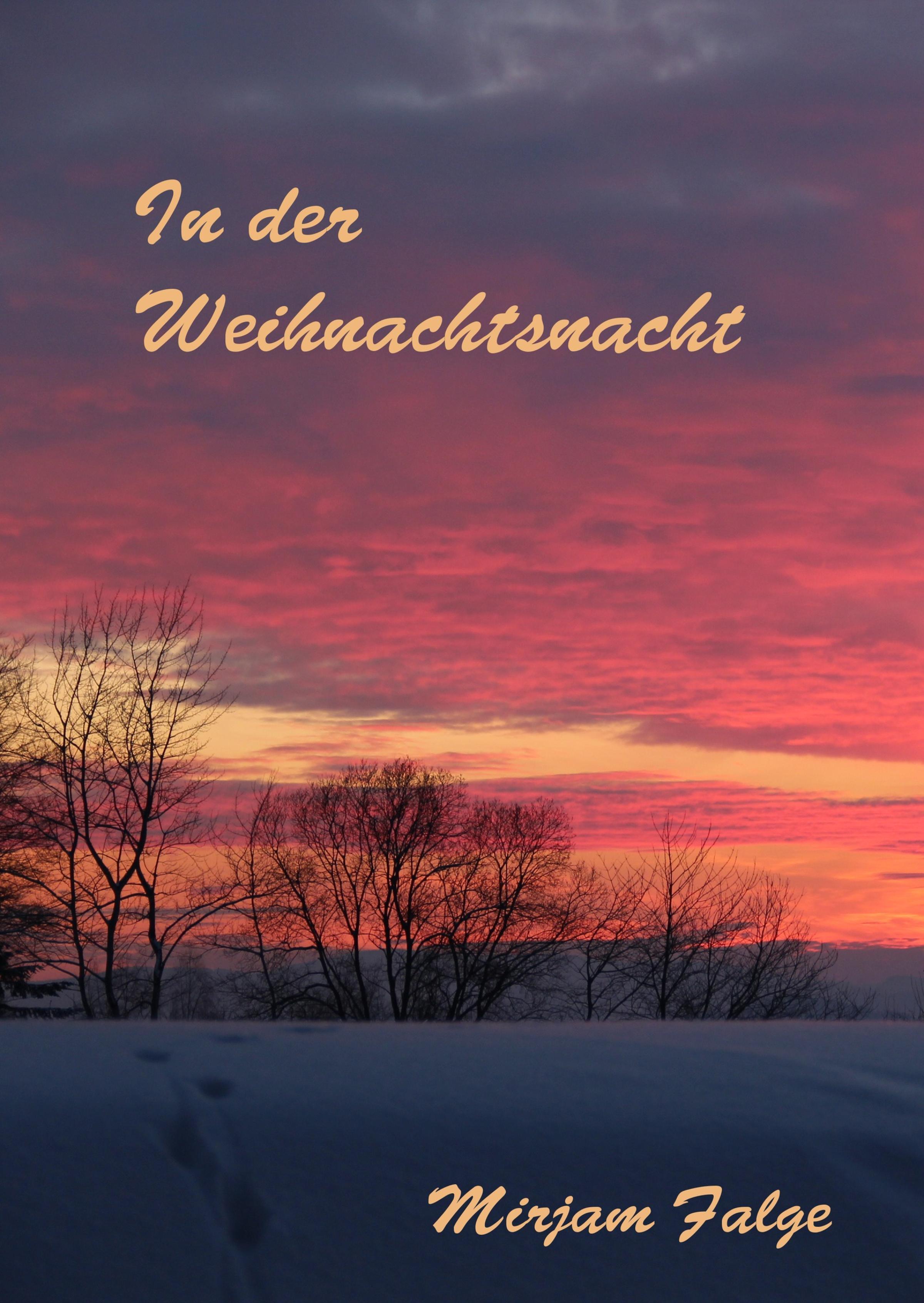 Обложка книги «In der Weihnachtsnacht»