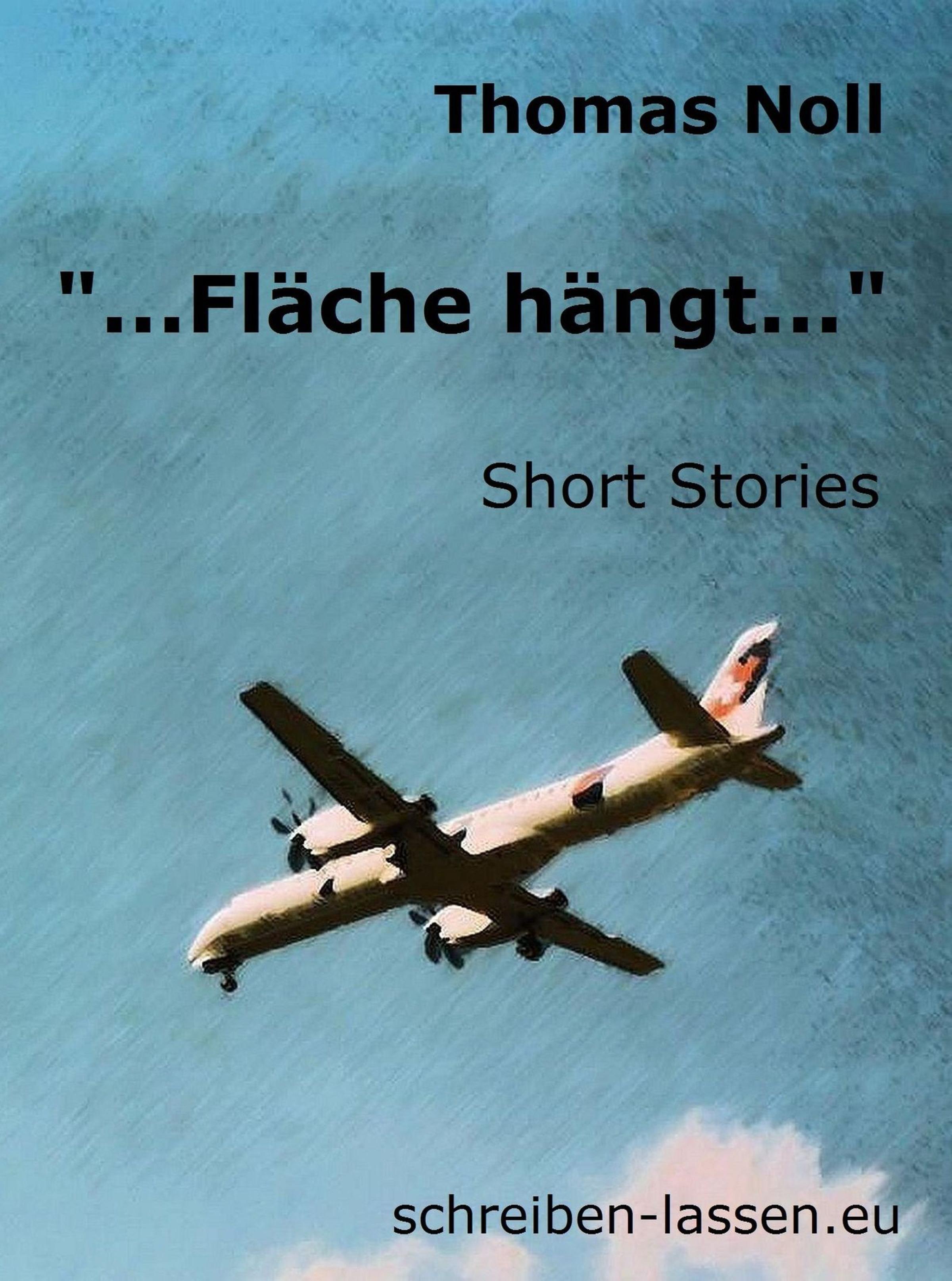 Обложка книги «"...Fläche hängt..."»