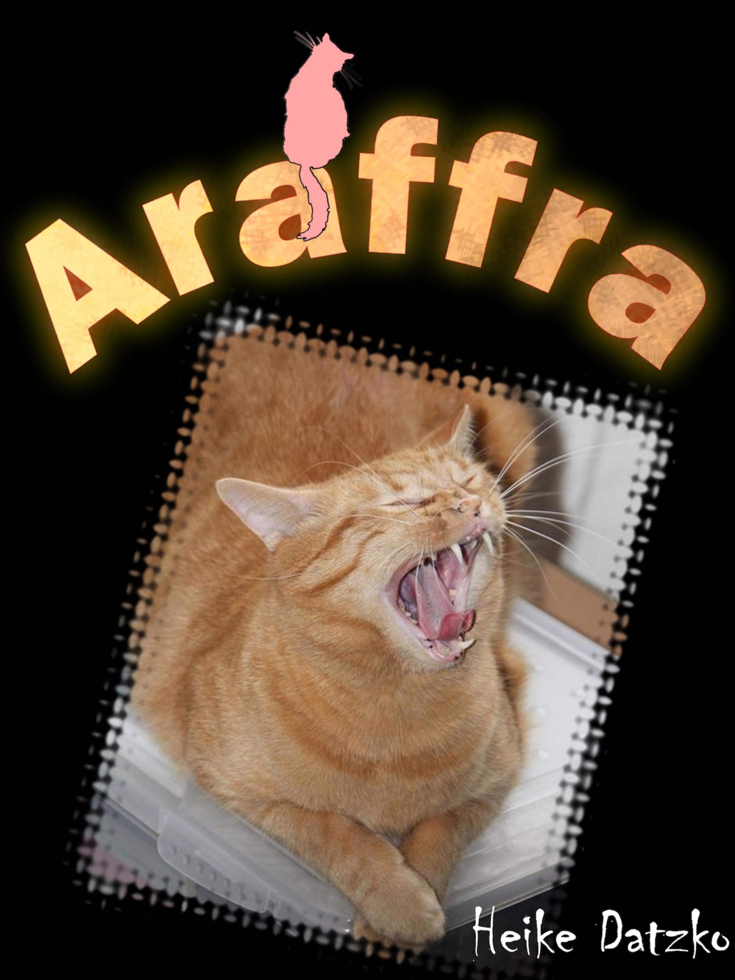 Обложка книги «Araffra»