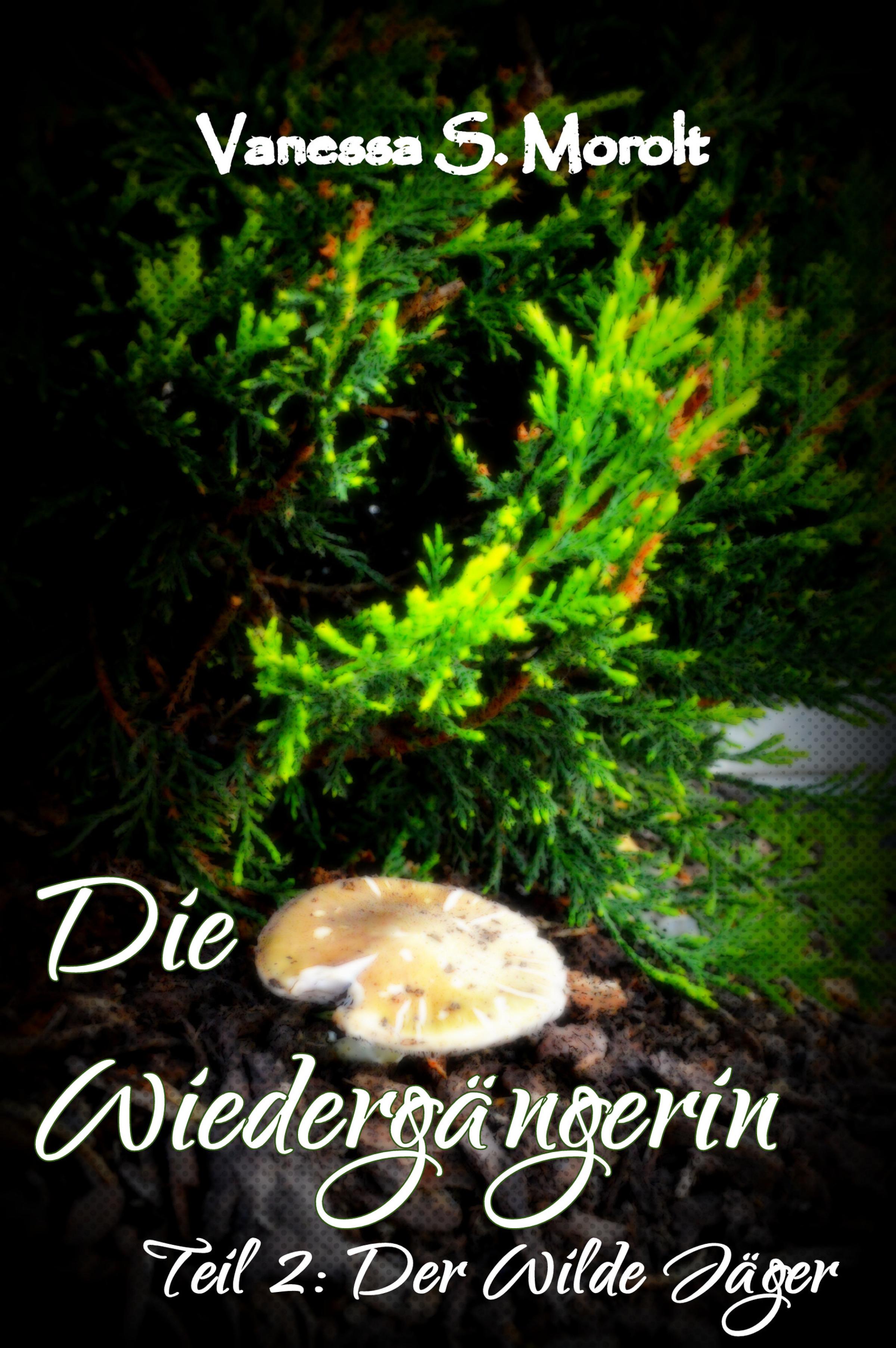 Обложка книги «Der Wilde Jäger»