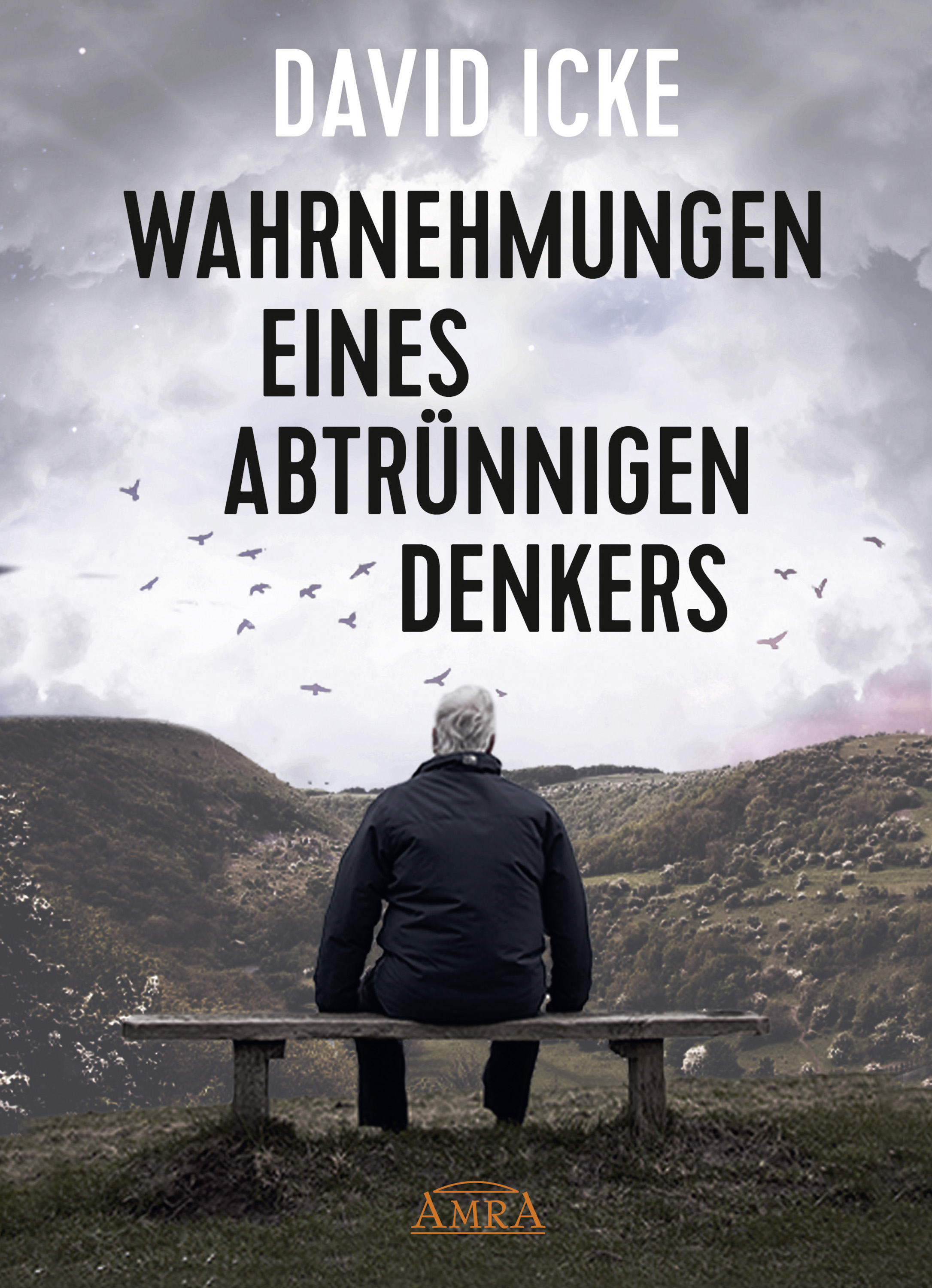 Обложка книги «WAHRNEHMUNGEN EINES ABTRÜNNIGEN DENKERS»