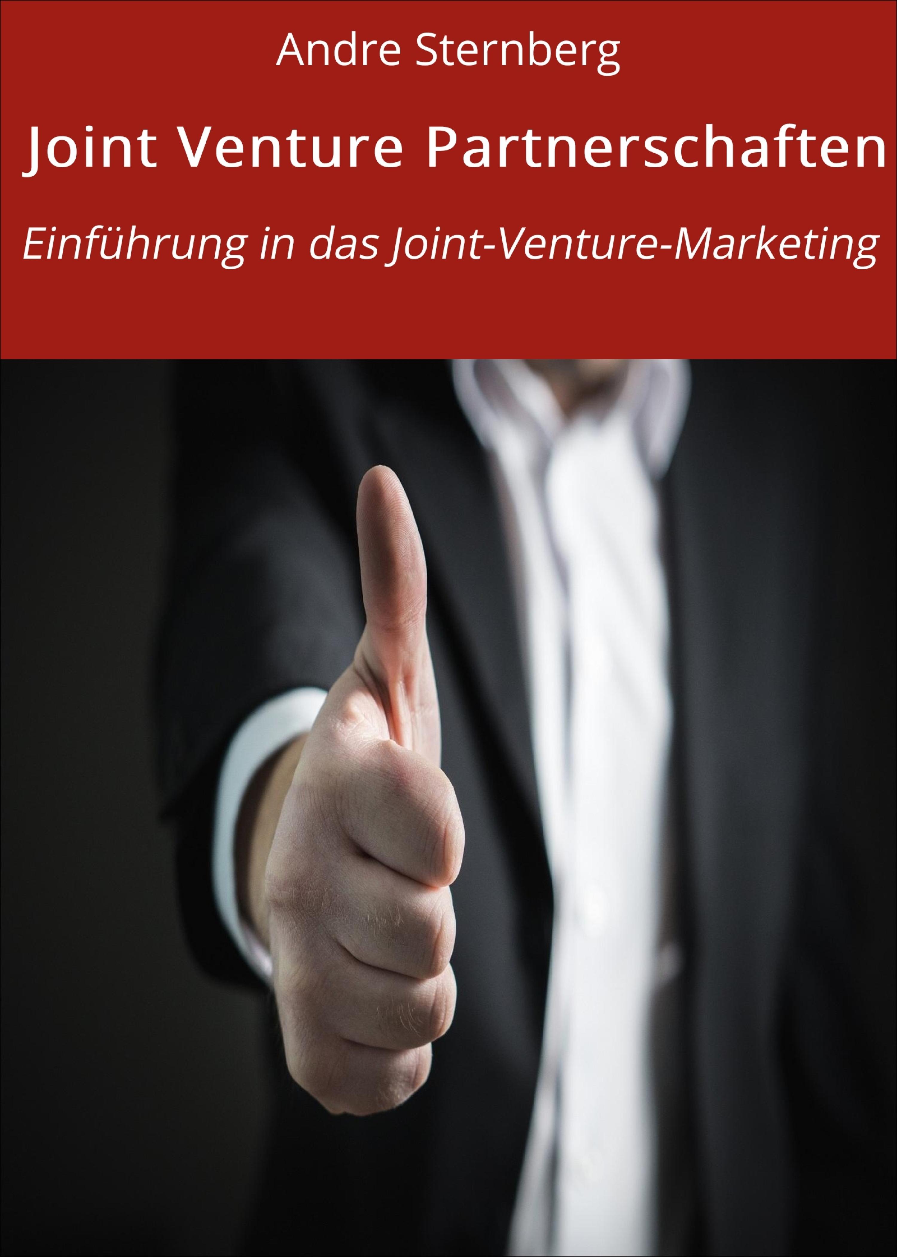 Обложка книги «Joint Venture Partnerschaften»