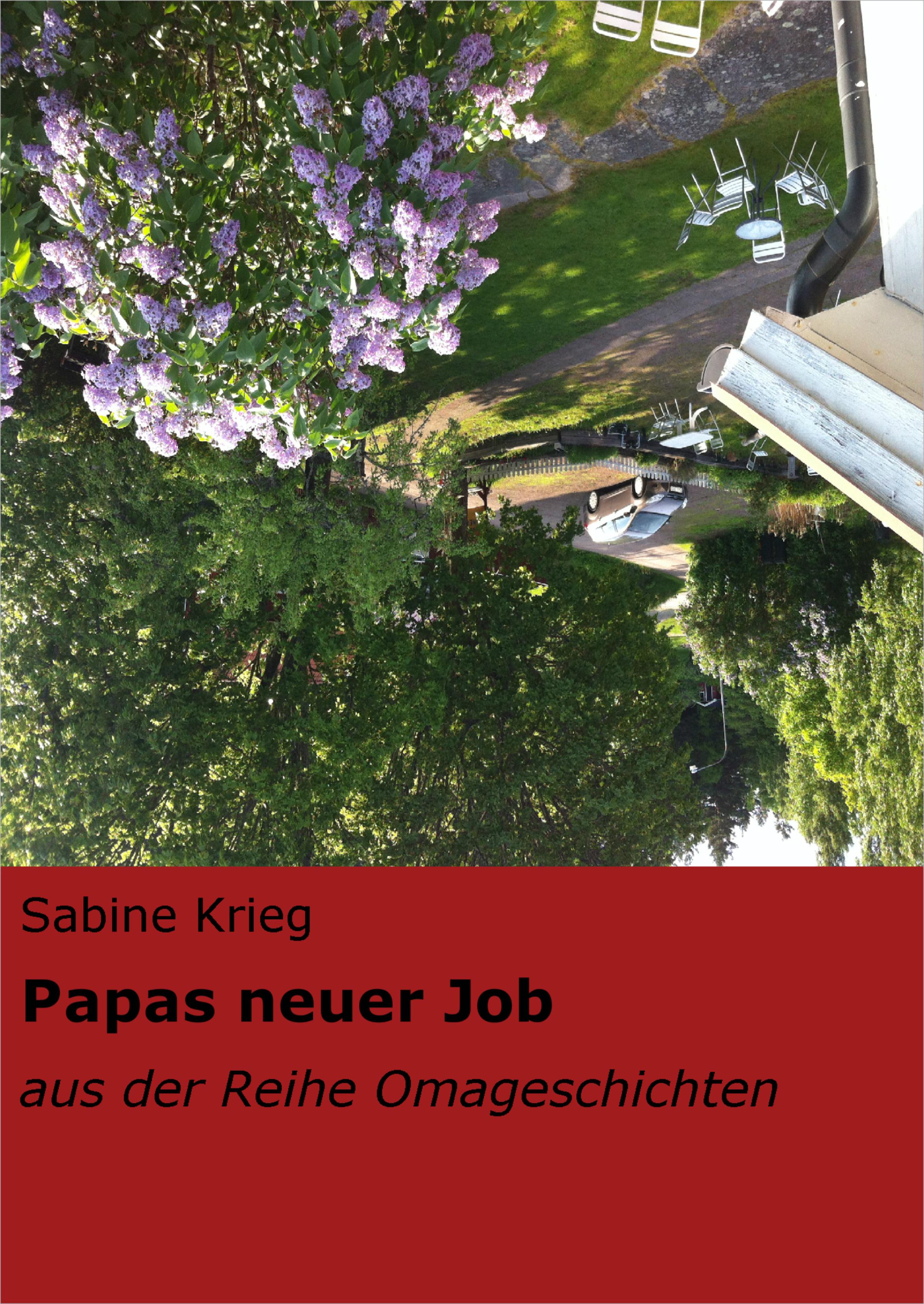 Обложка книги «Papas neuer Job»