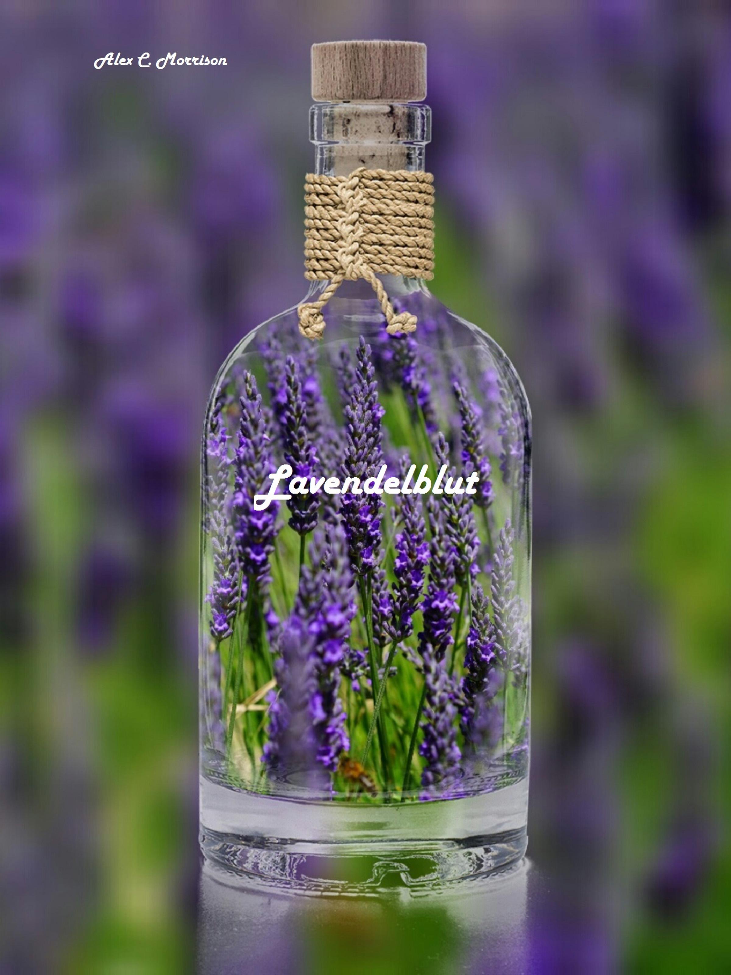 Обложка книги «Lavendelblut»