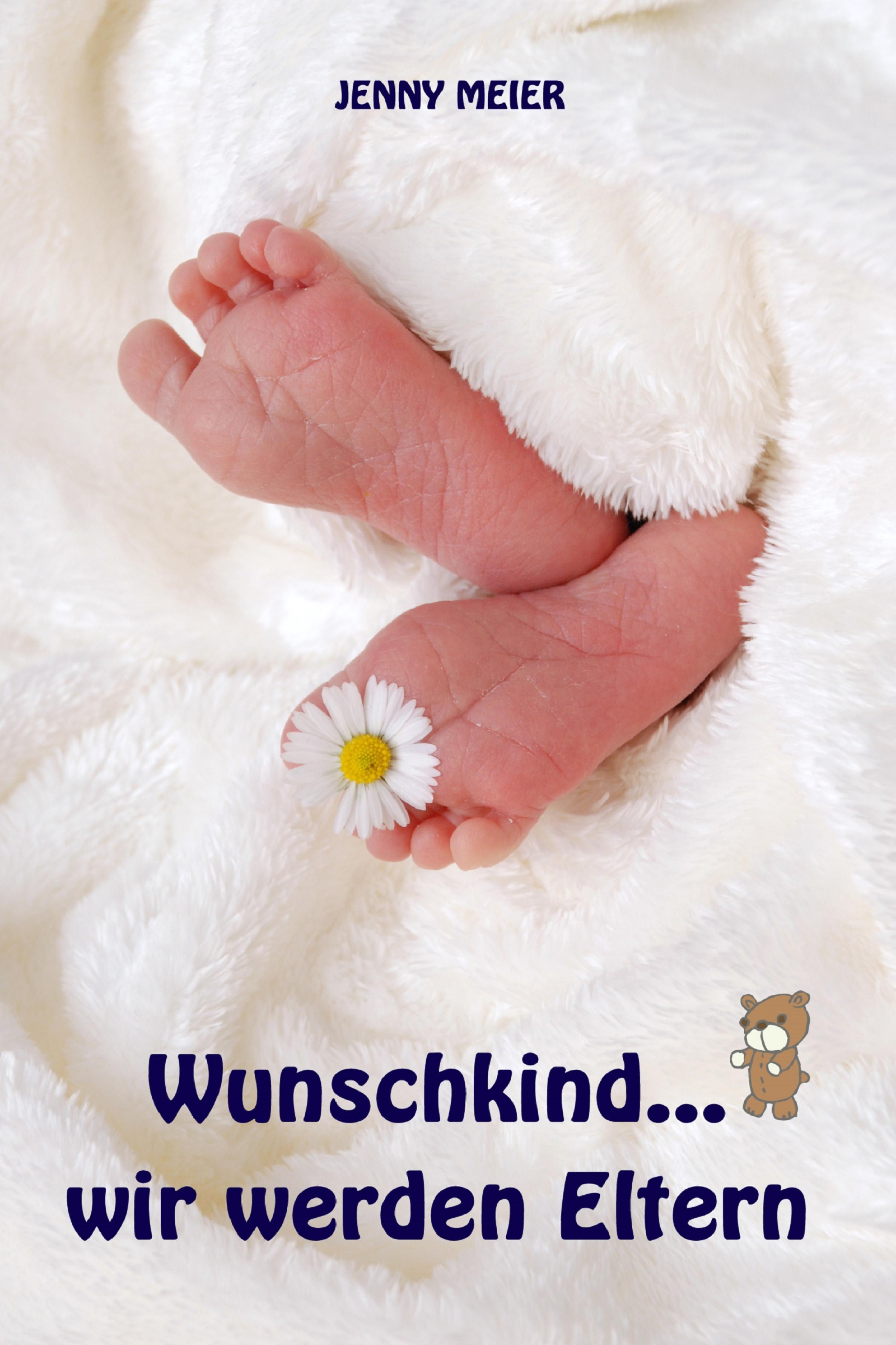 Обложка книги «Wunschkind...wir werden Eltern»