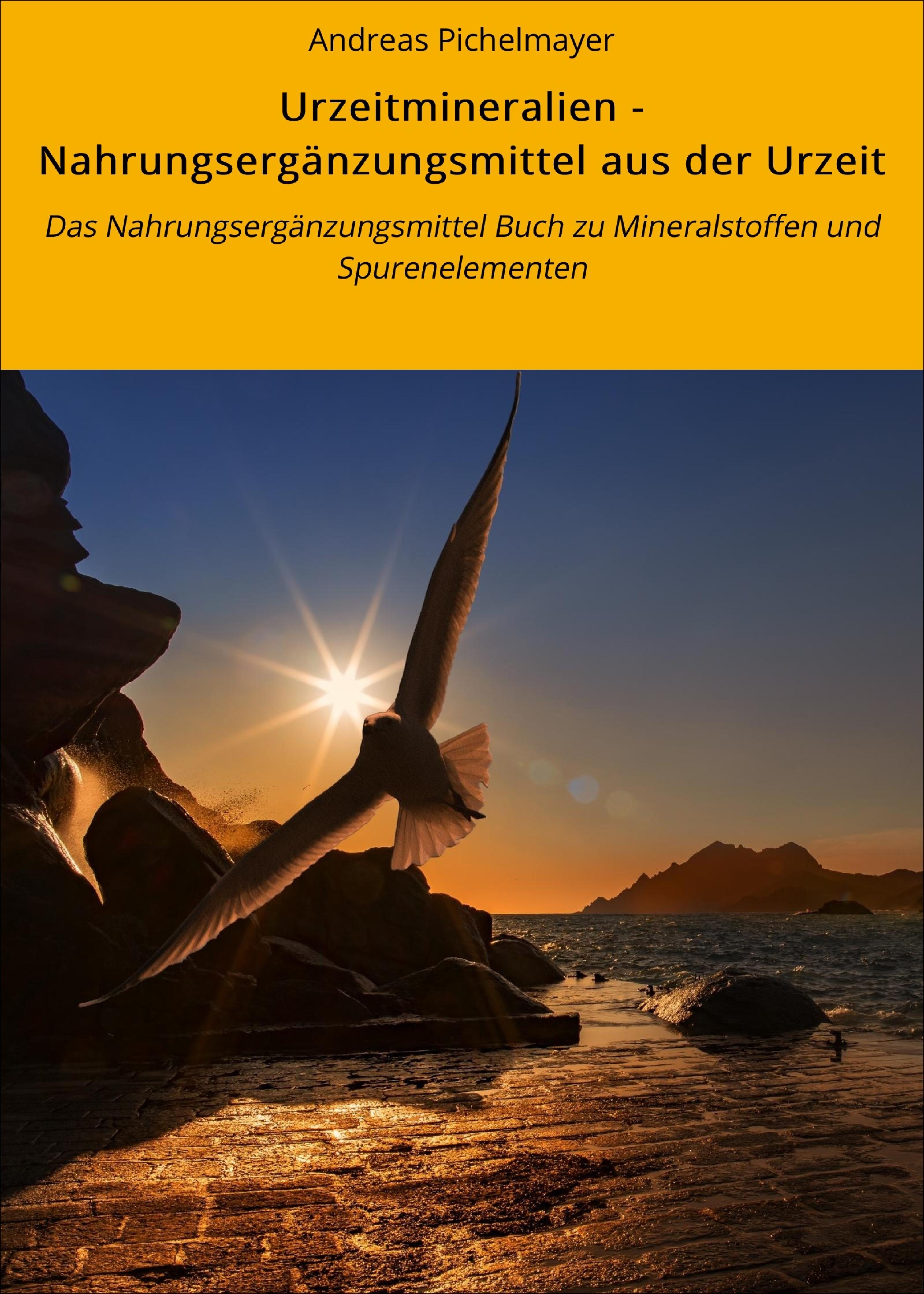 Обложка книги «Urzeitmineralien - Nahrungsergänzungsmittel aus der Urzeit»