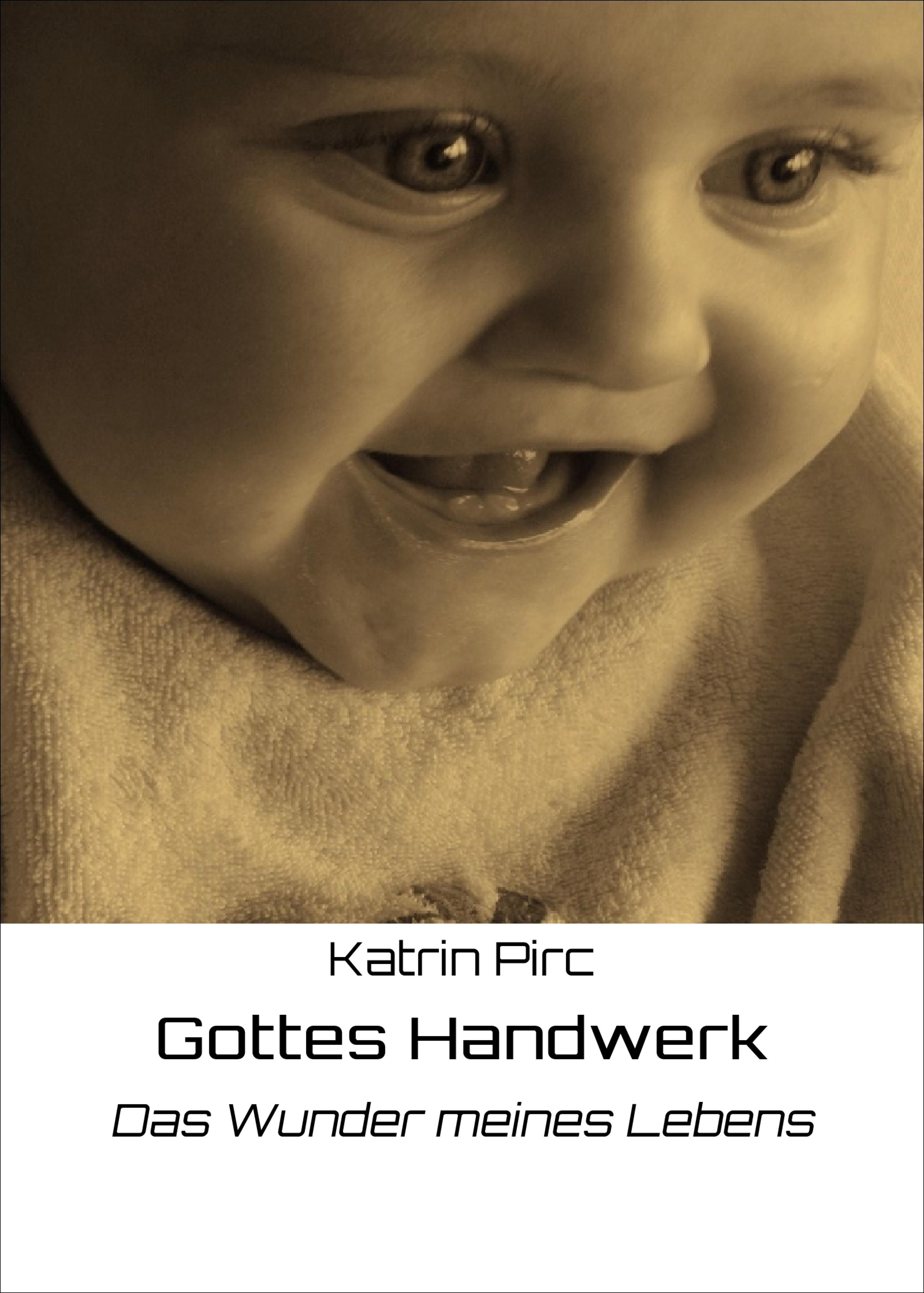 Обложка книги «Gottes Handwerk»