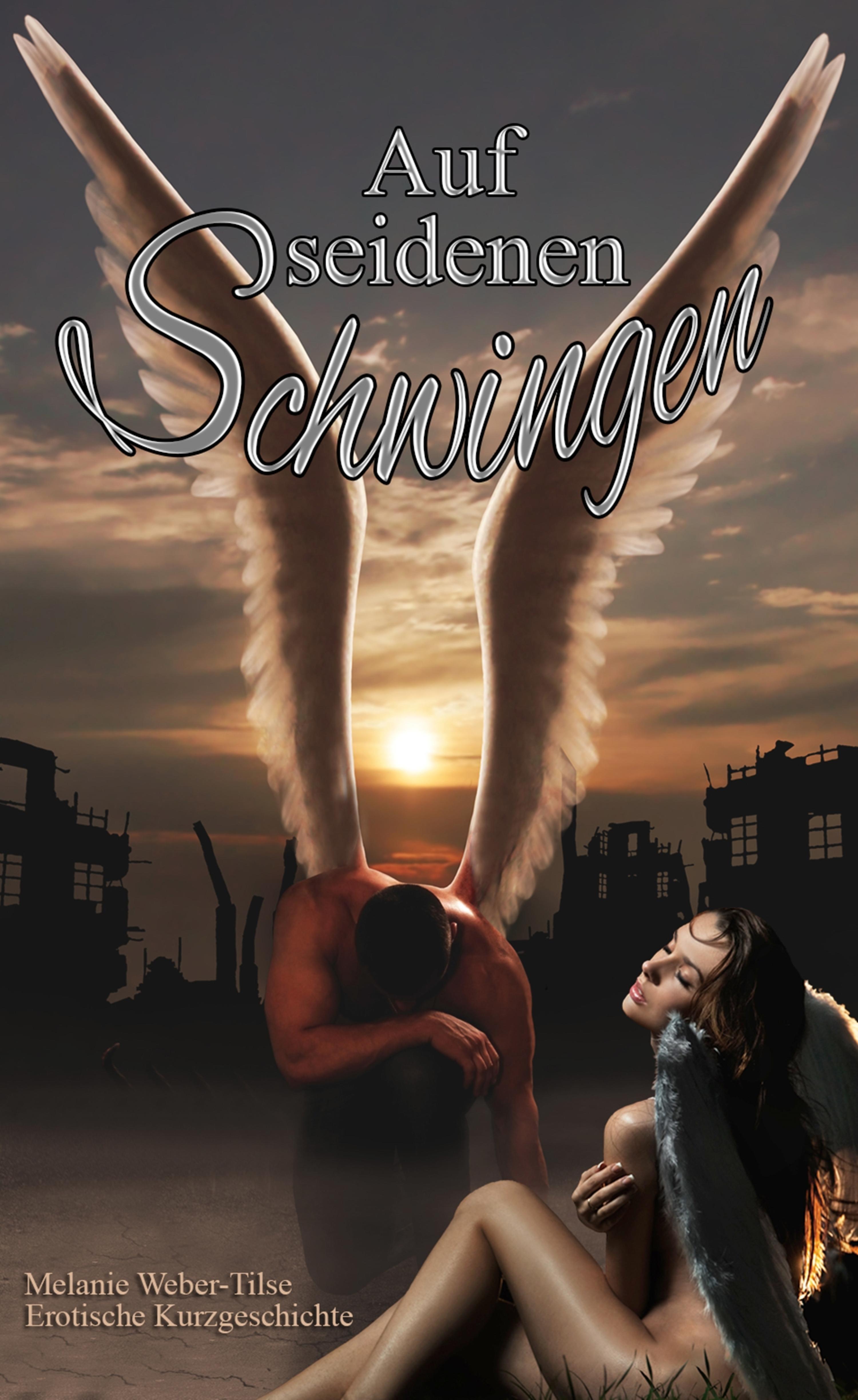Обложка книги «Auf seidenen Schwingen»