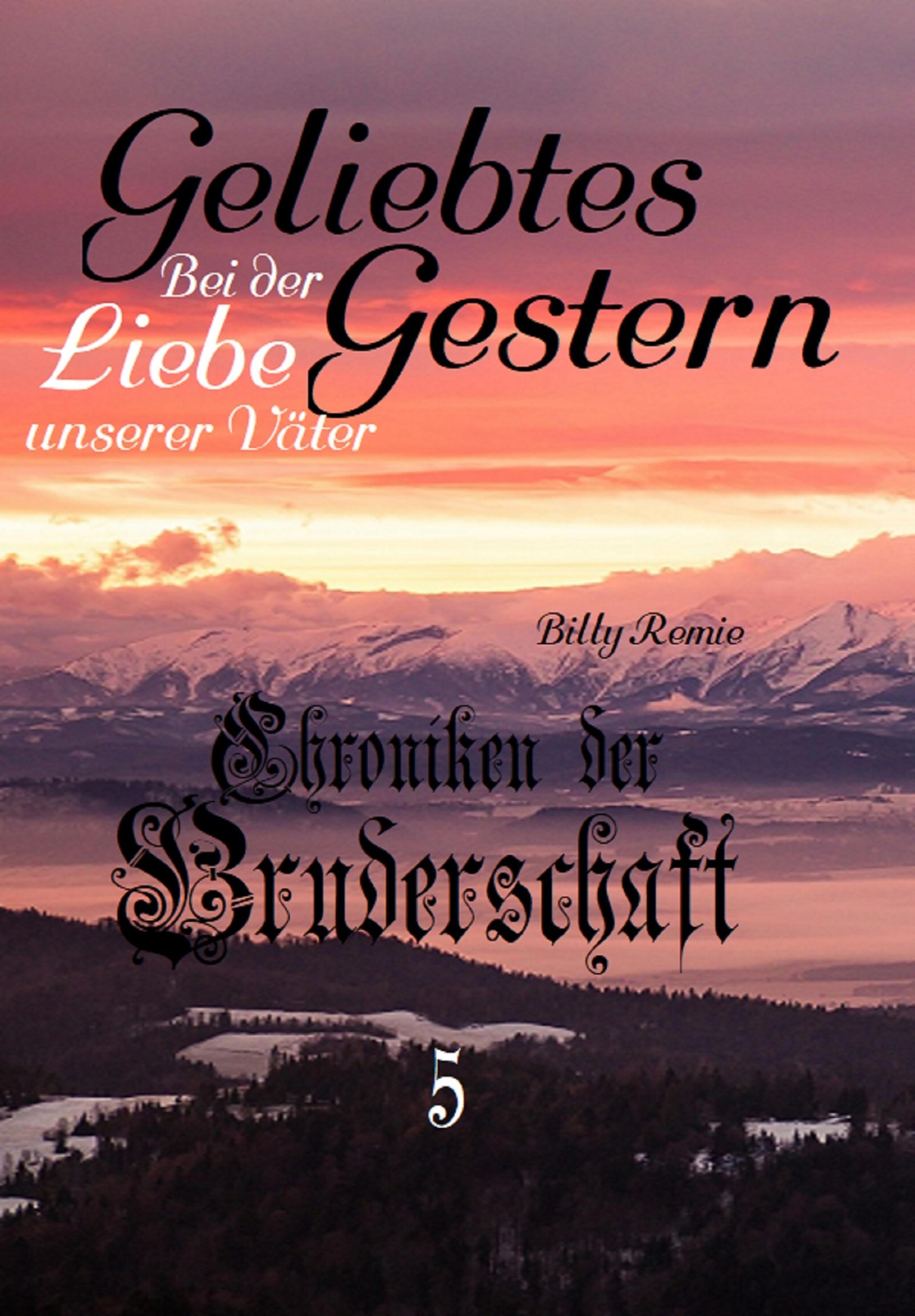 Обложка книги «Geliebtes Gestern»