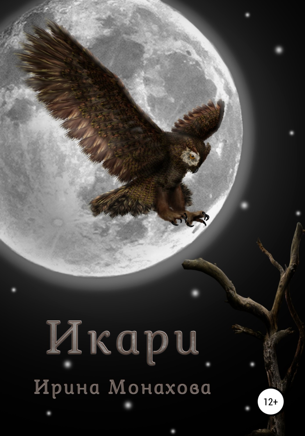 Обложка книги «Икари»