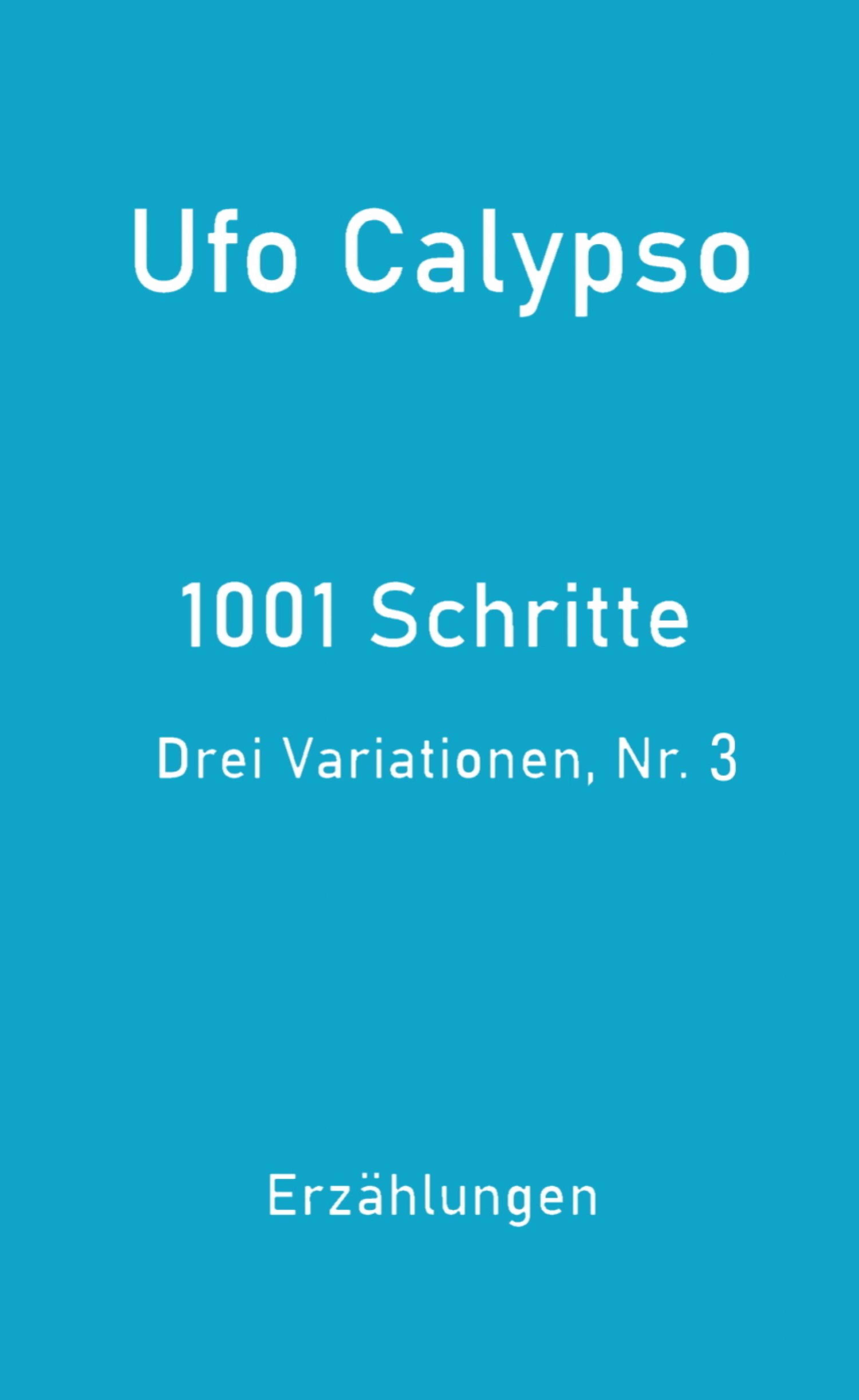 Обложка книги «1001 Schritte - Drei Variationen, Nr. 3»