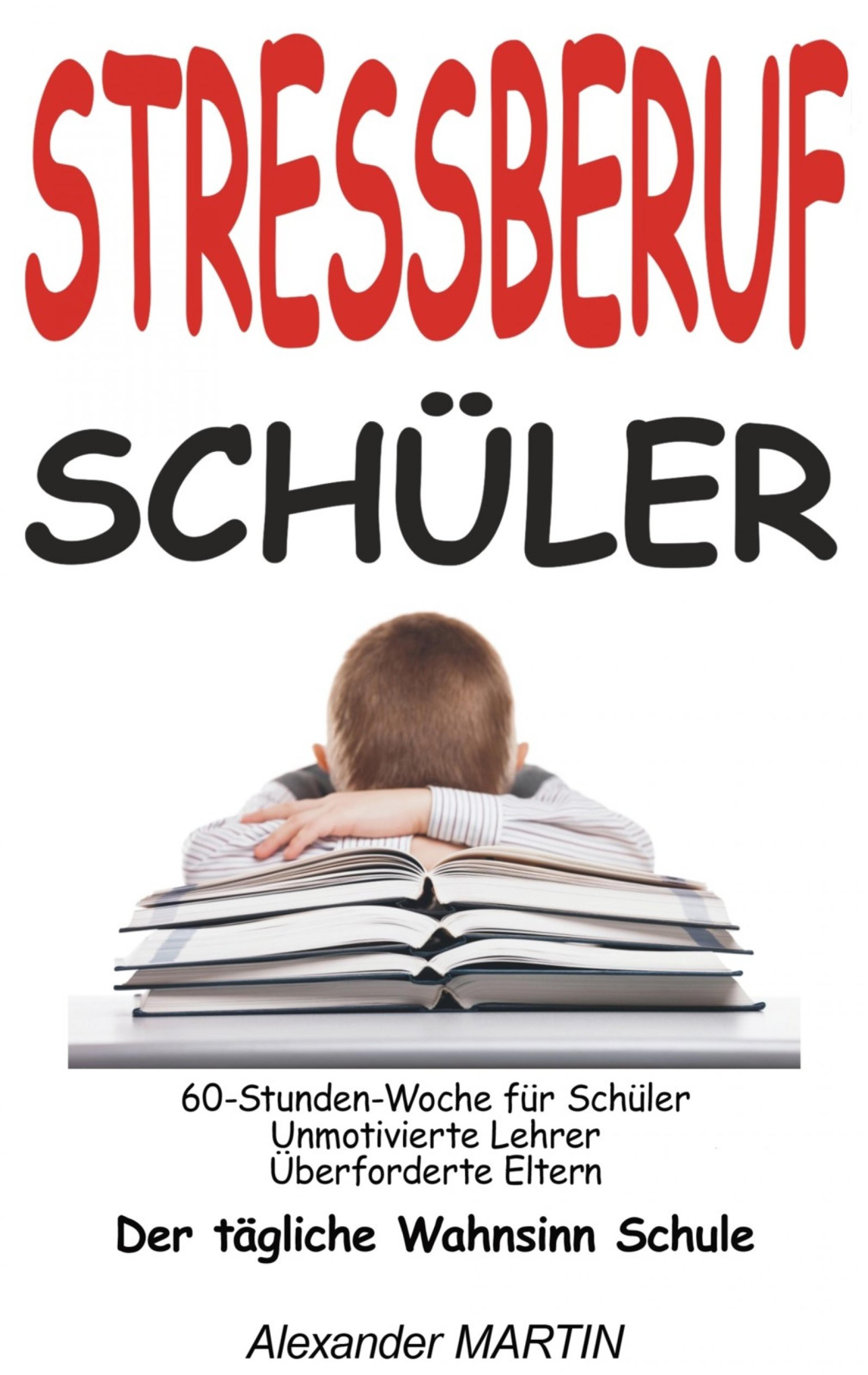 Обложка книги «Stressberuf Schüler»