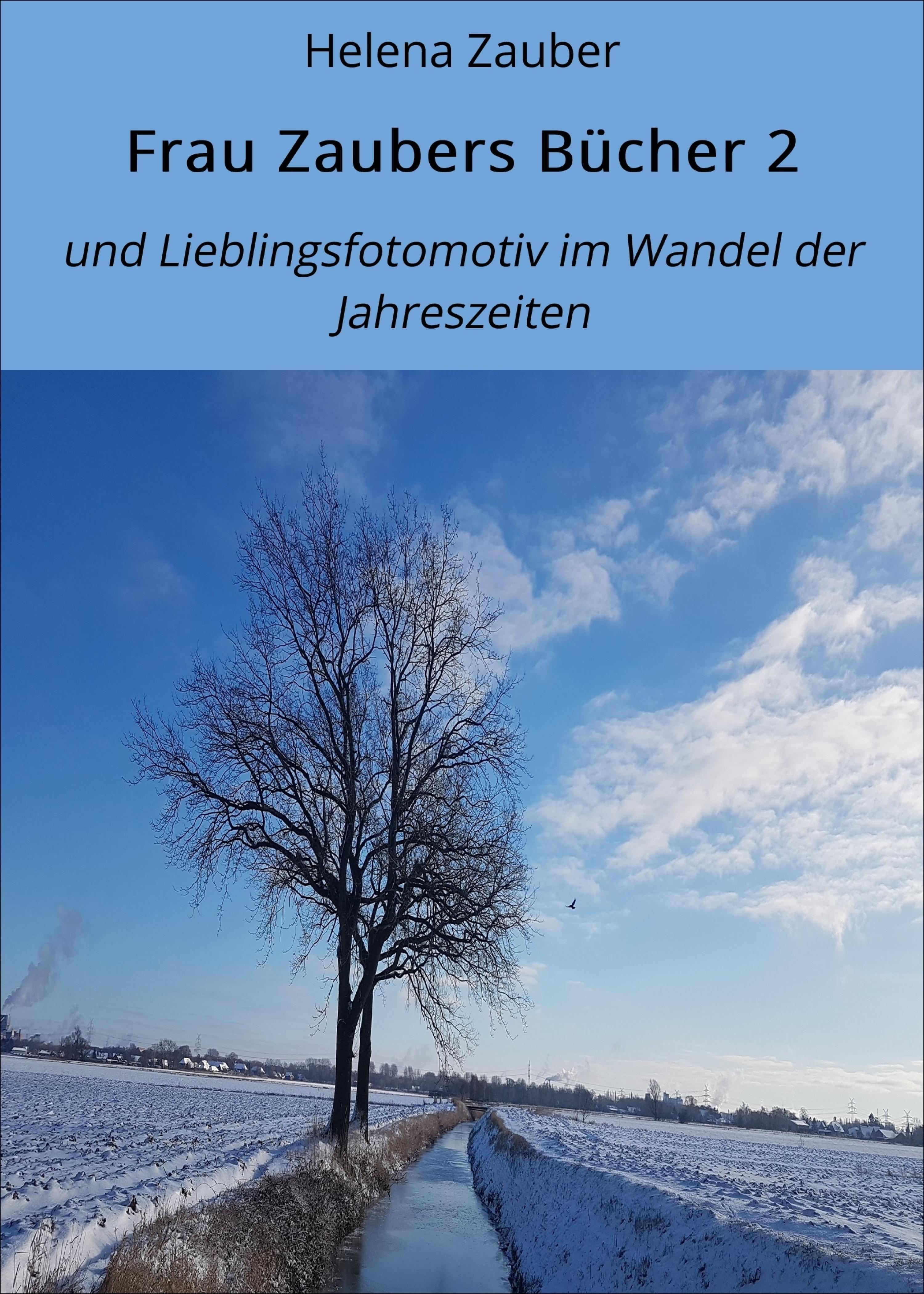 Обложка книги «Frau Zaubers Bücher 2»