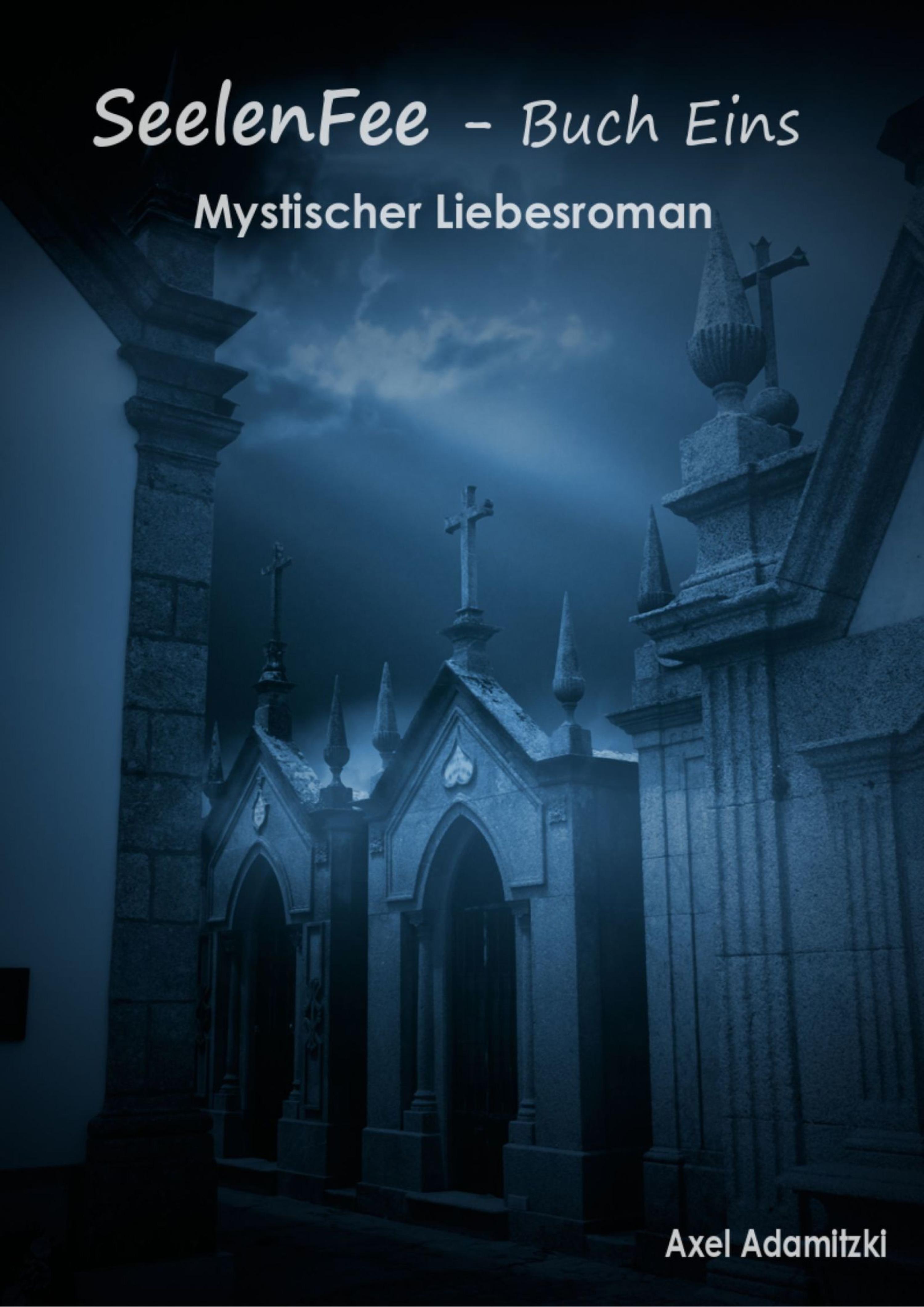 Обложка книги «SeelenFee - Buch Eins»
