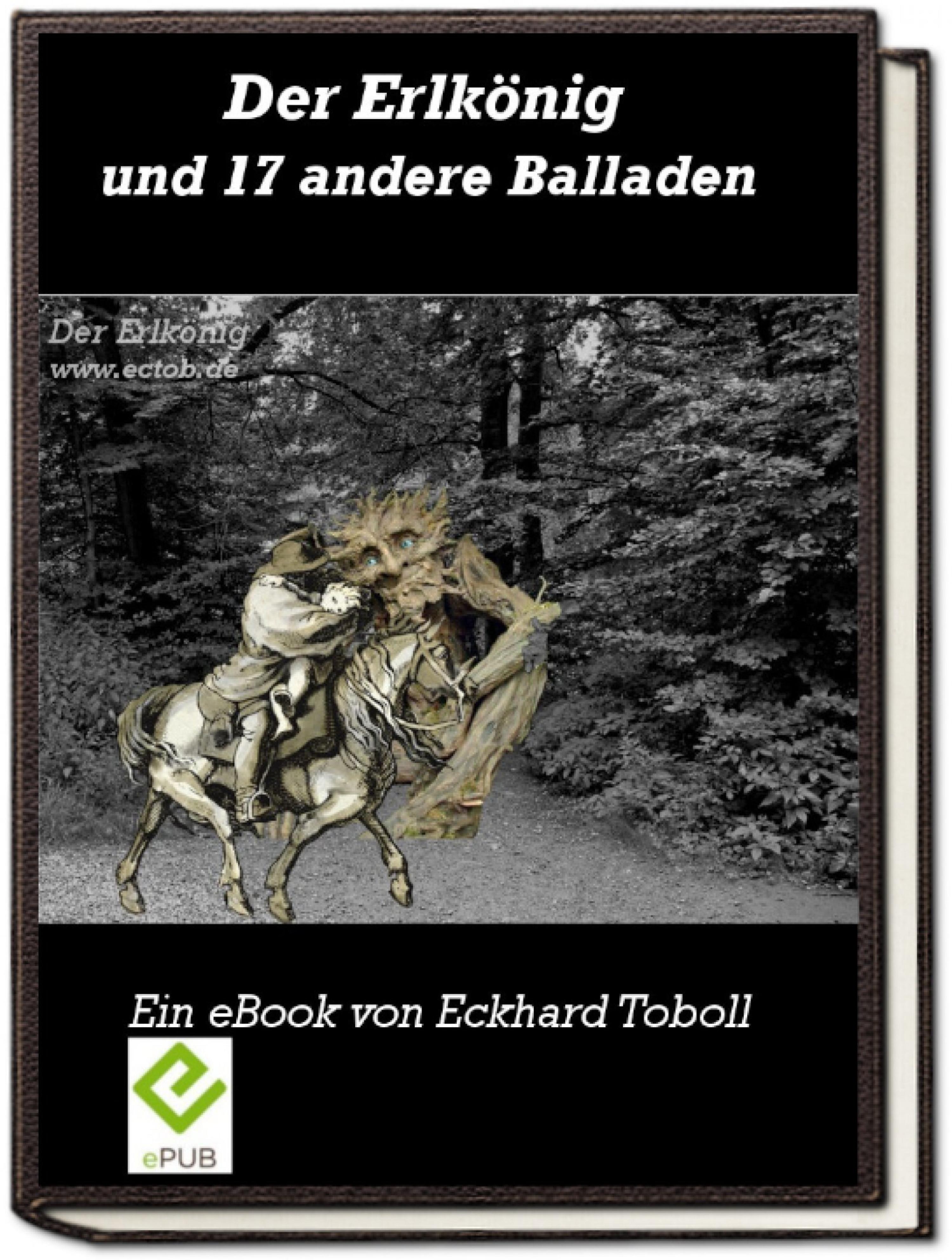 Обложка книги «Der Erlkönig und 17 andere Balladen»