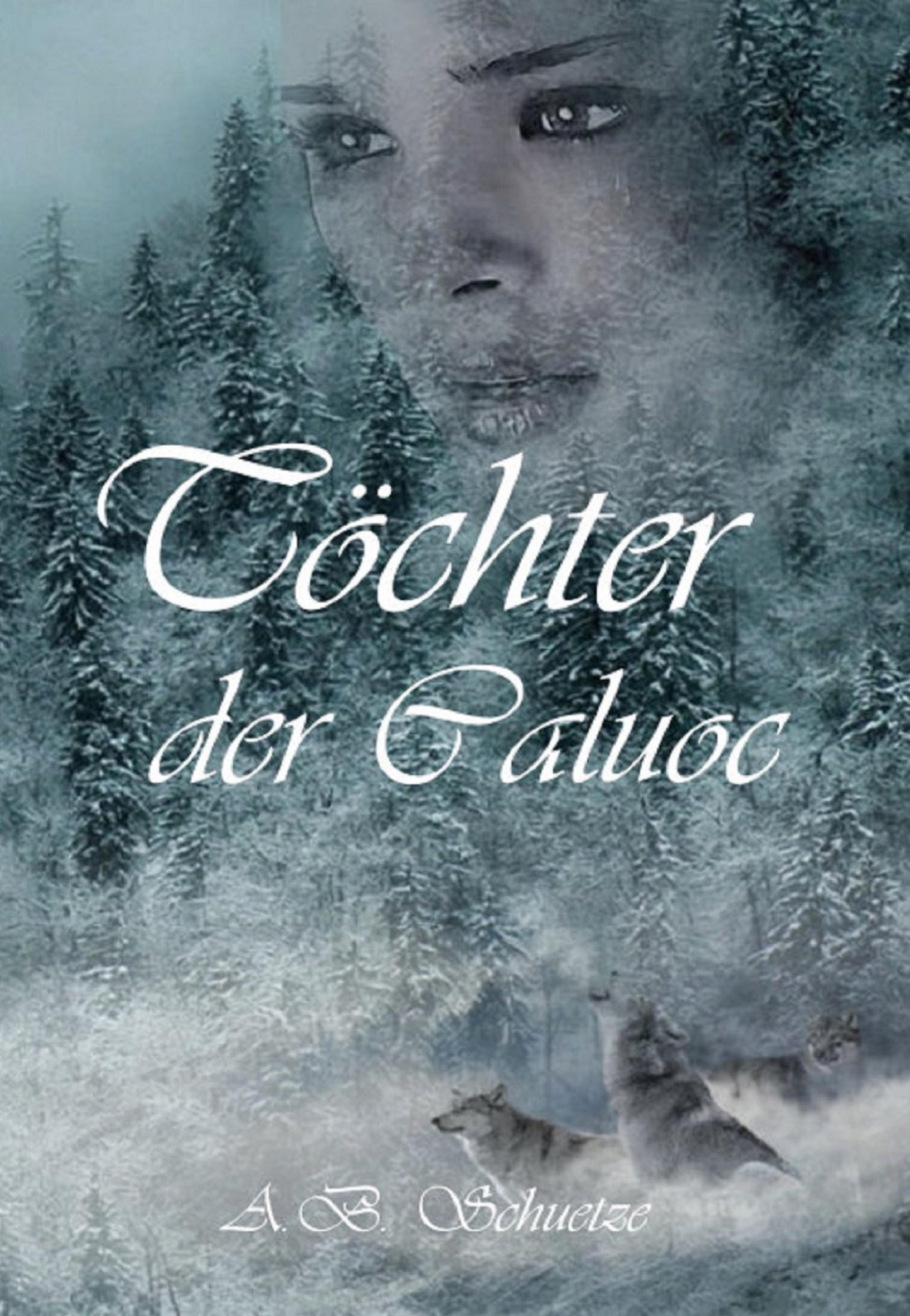 Обложка книги «Töchter der Caluoc»