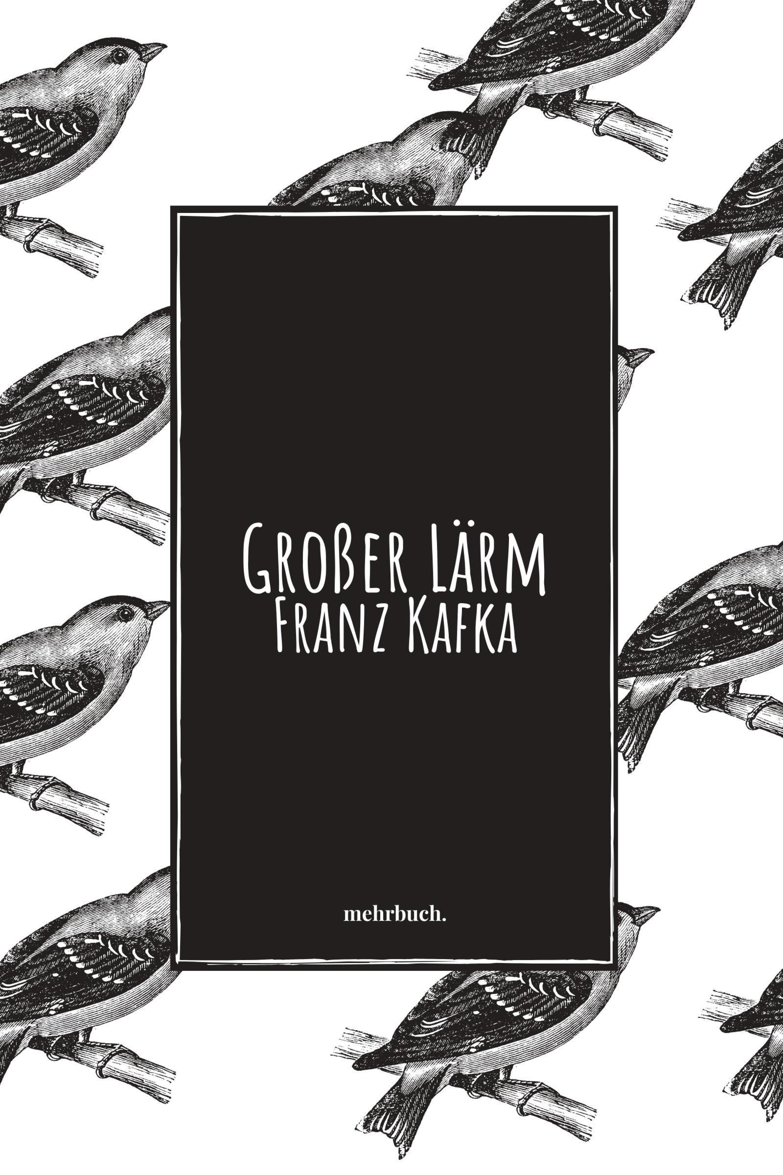 Обложка книги «Großer Lärm»
