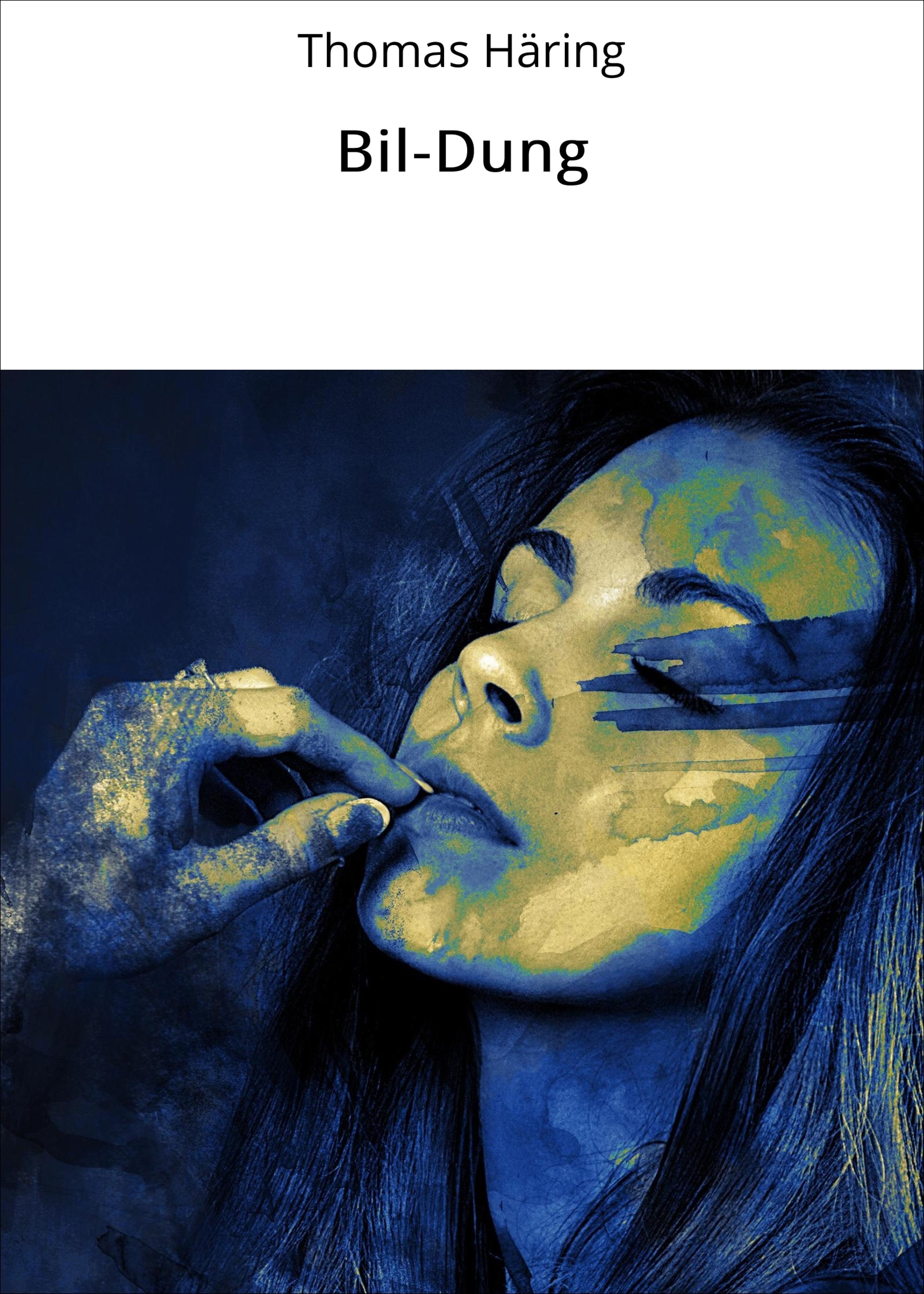 Обложка книги «Bil-Dung»