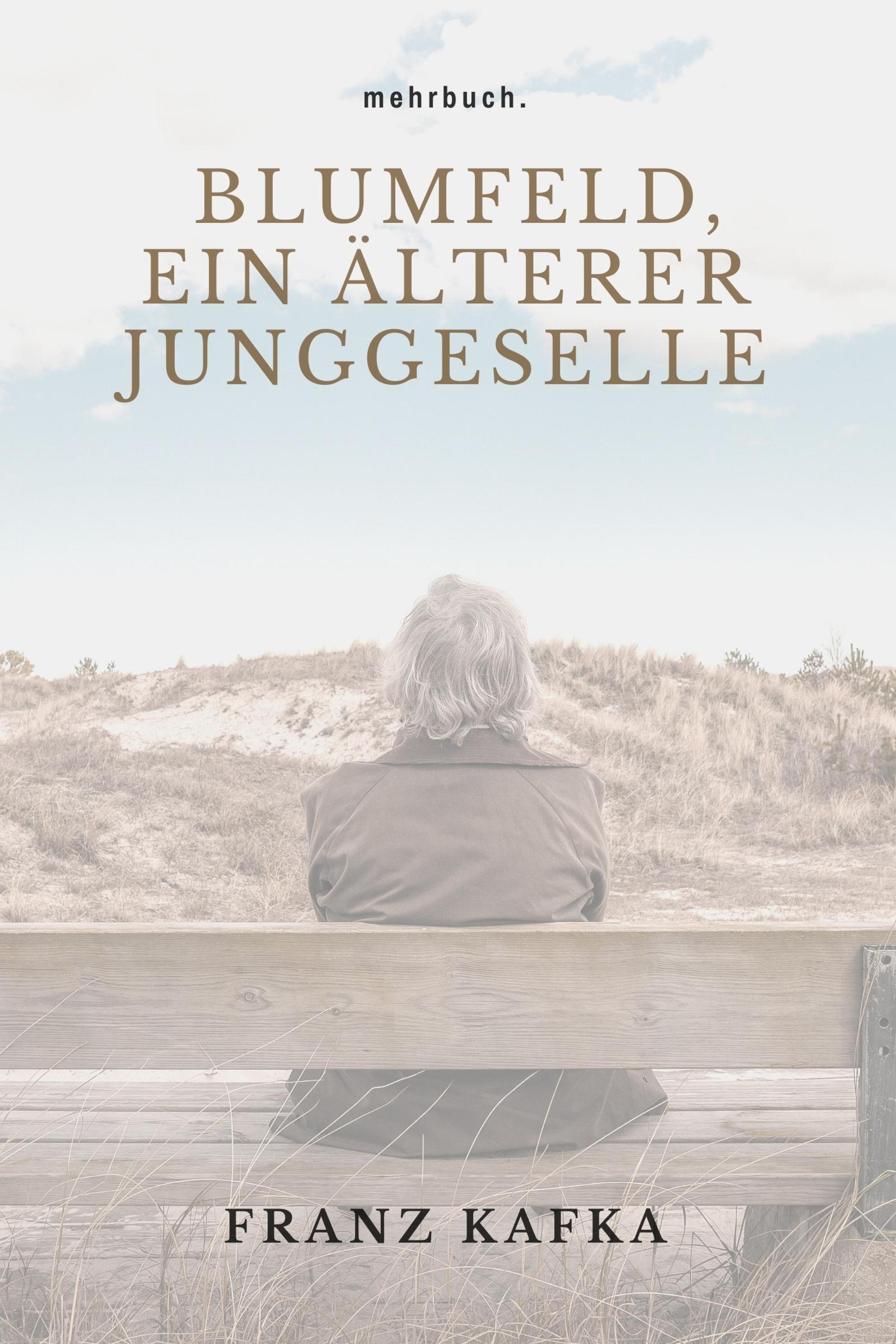 Обложка книги «Blumfeld, ein älterer Junggeselle»