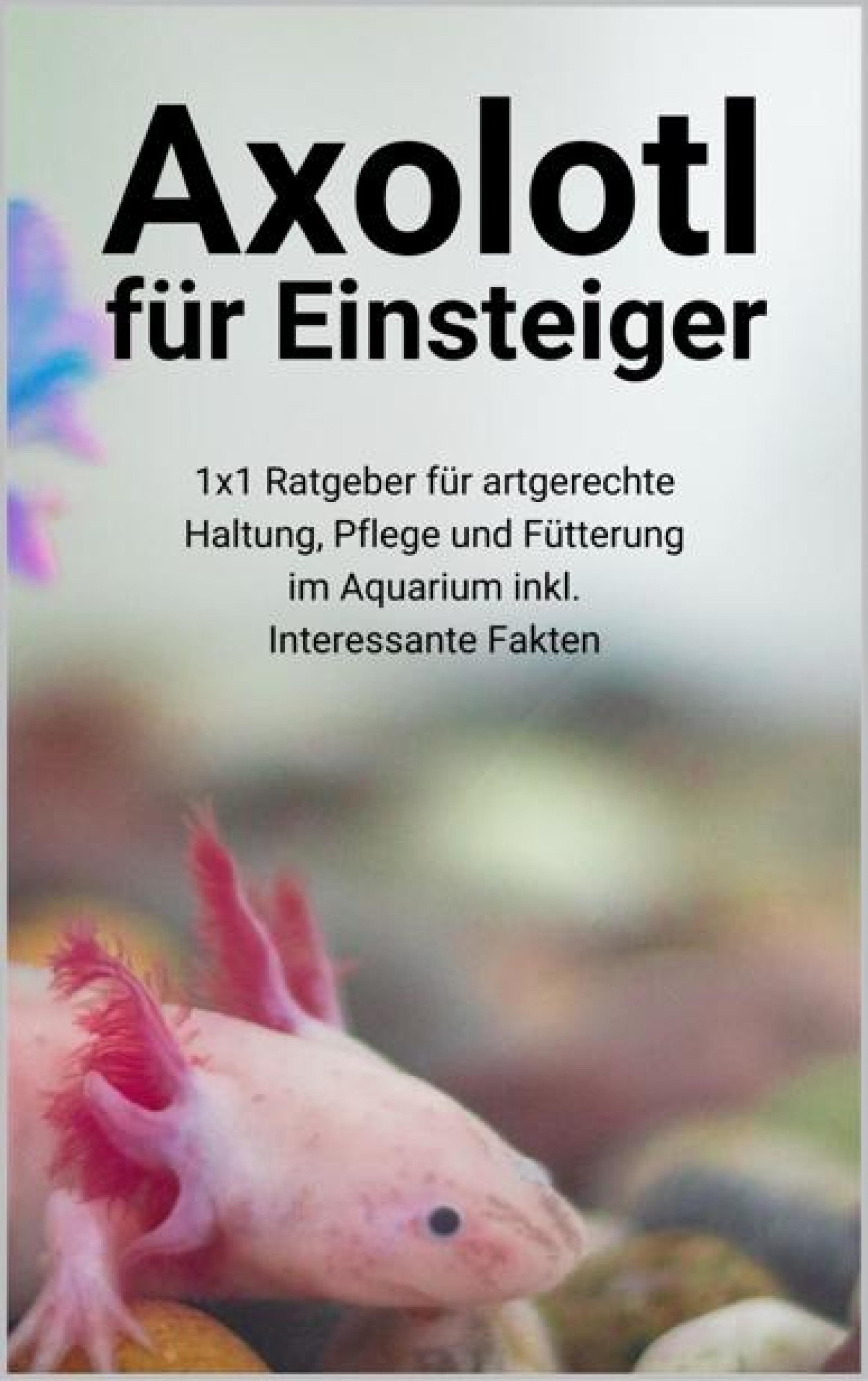 Обложка книги «Axolotl für Einsteiger»