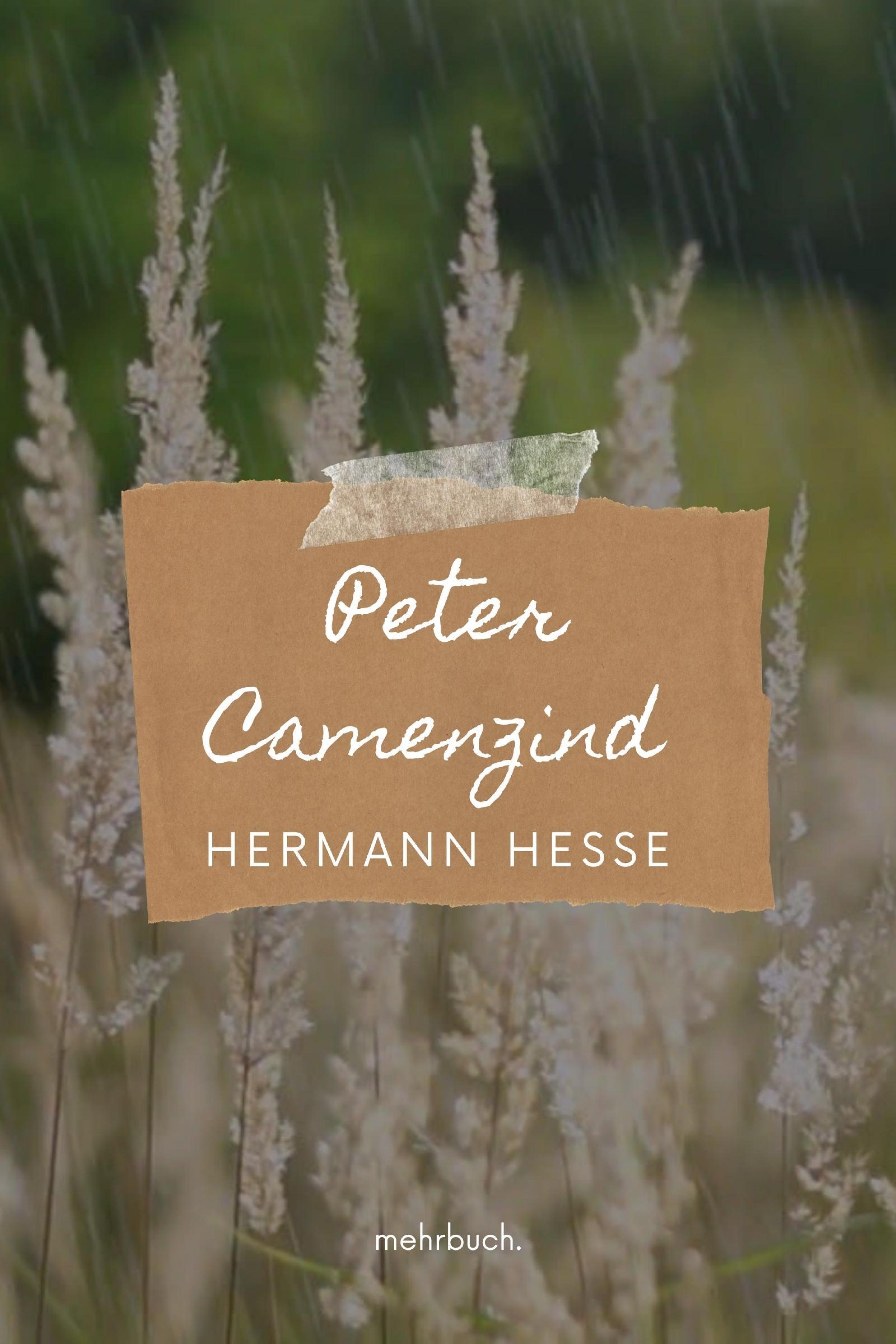 Обложка книги «Peter Camenzind»
