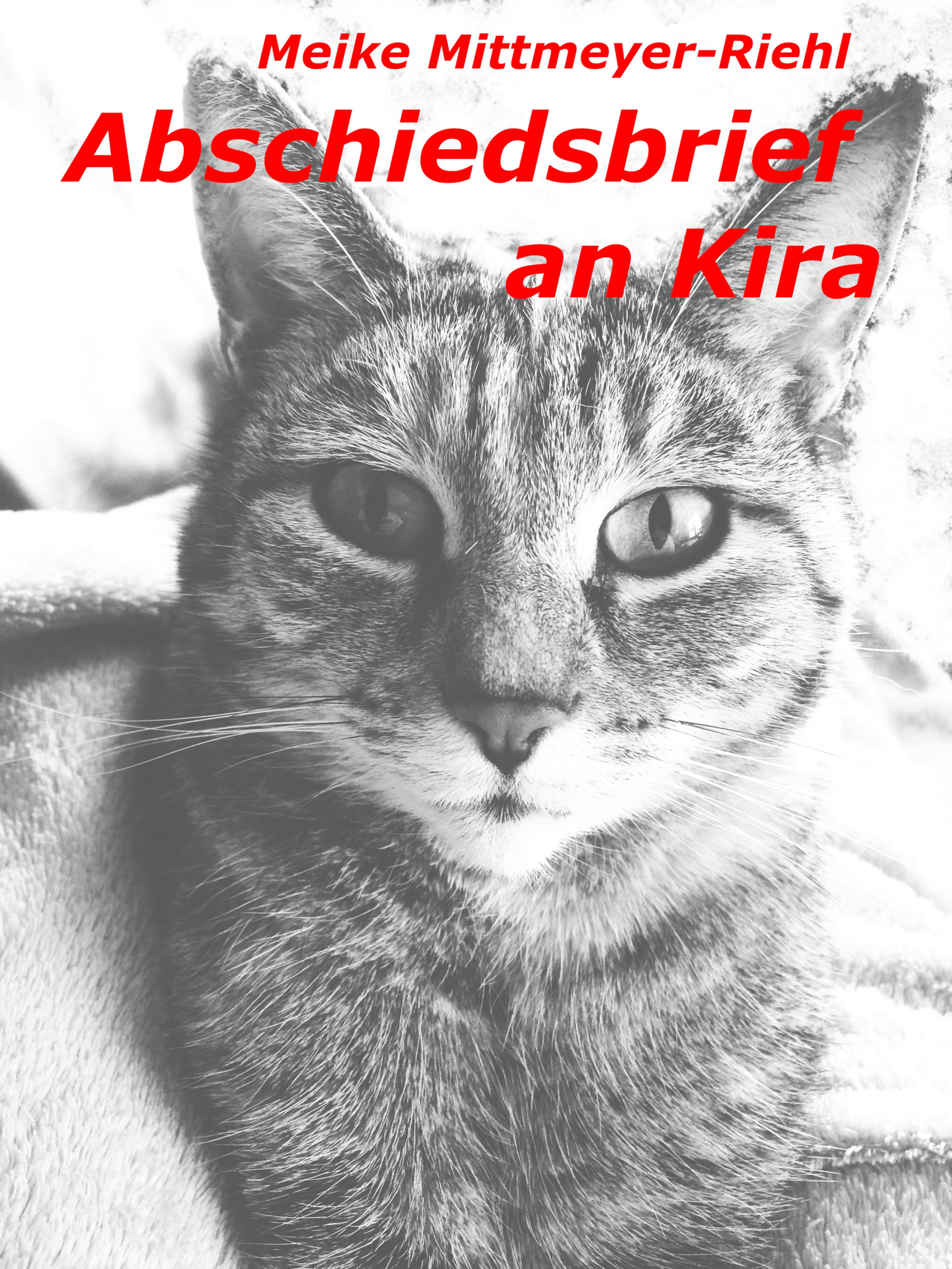 Обложка книги «Abschiedsbrief an Kira»