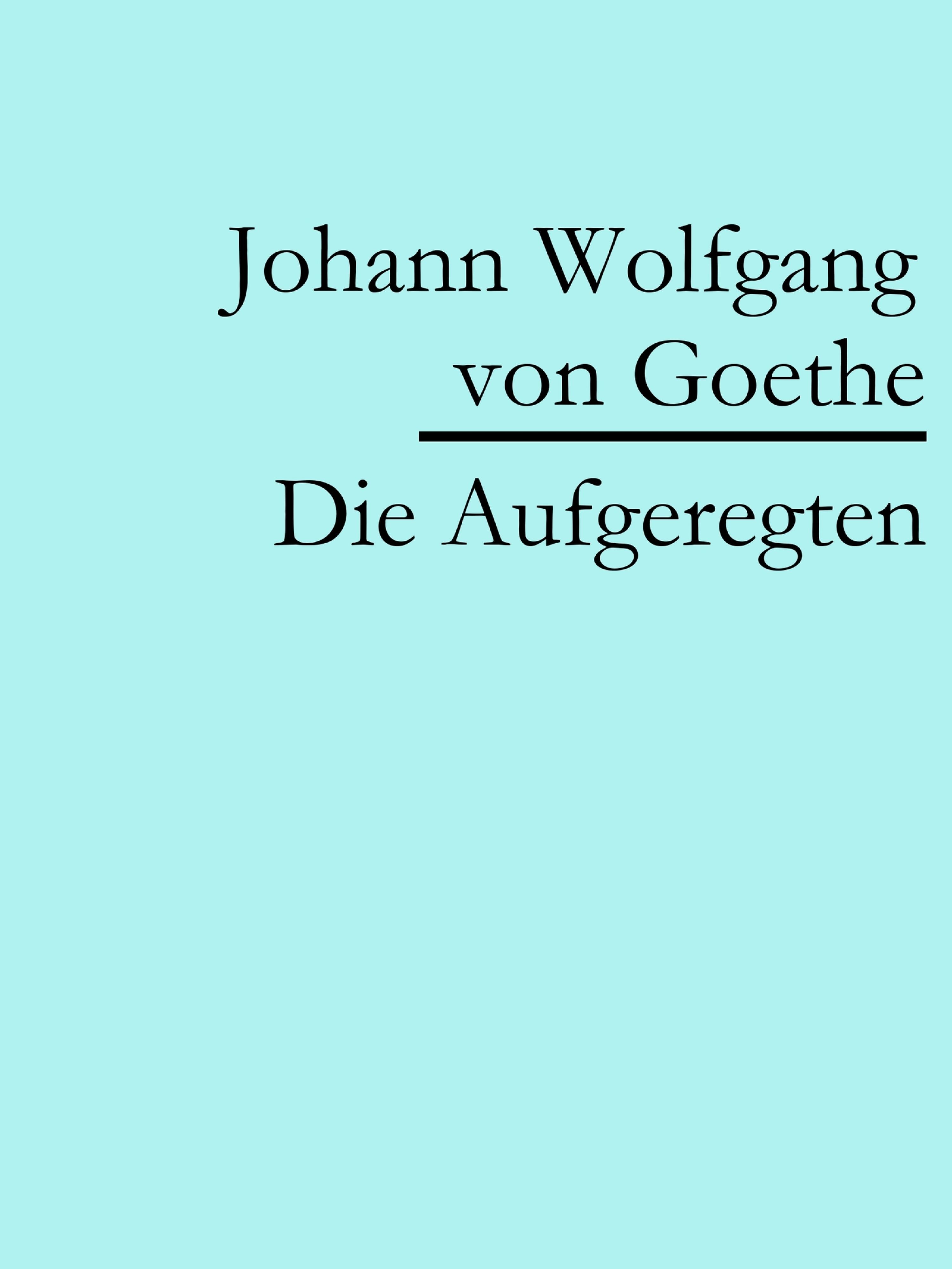 Обложка книги «Die Aufgeregten»