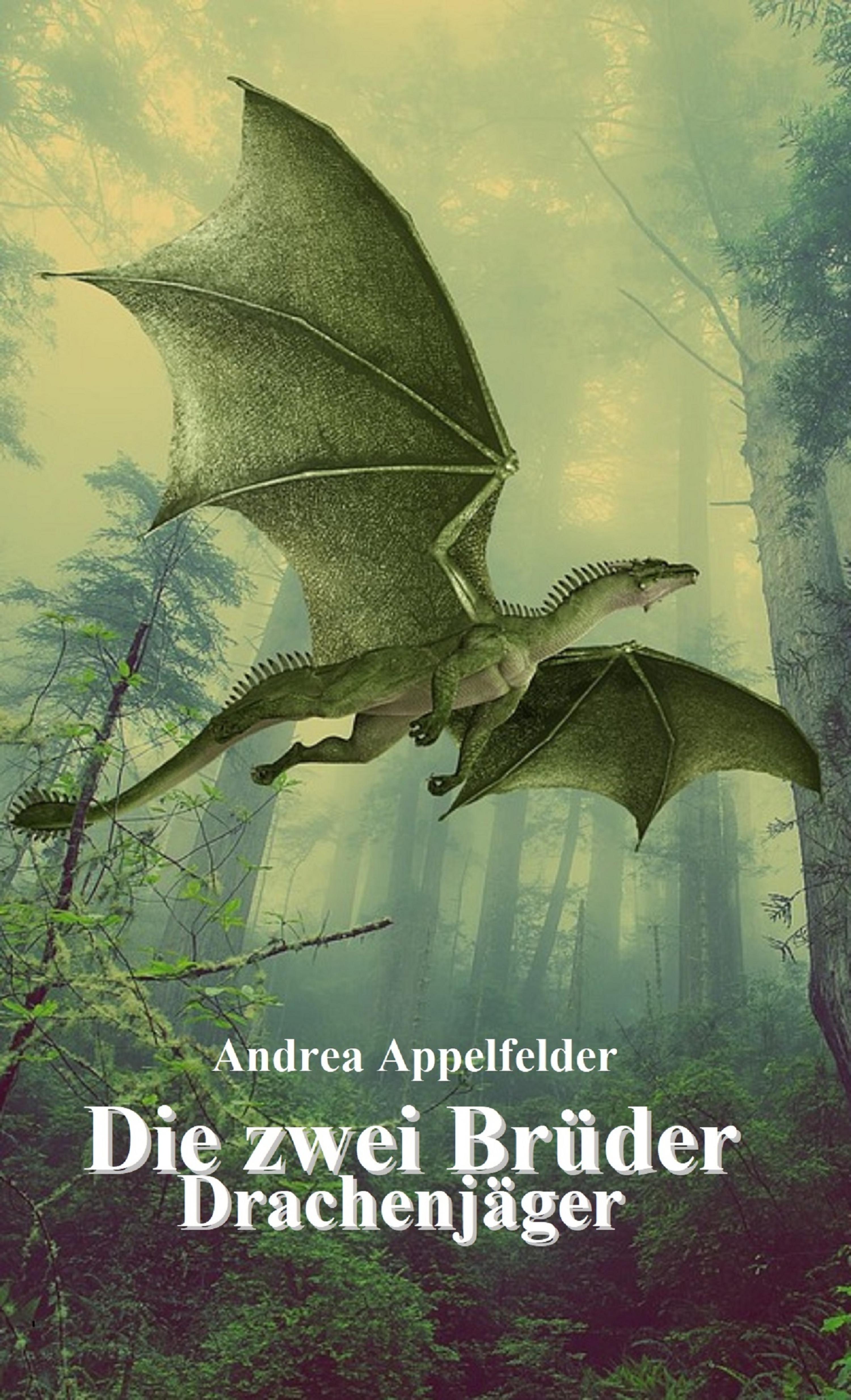 Обложка книги «Die zwei Brüder»