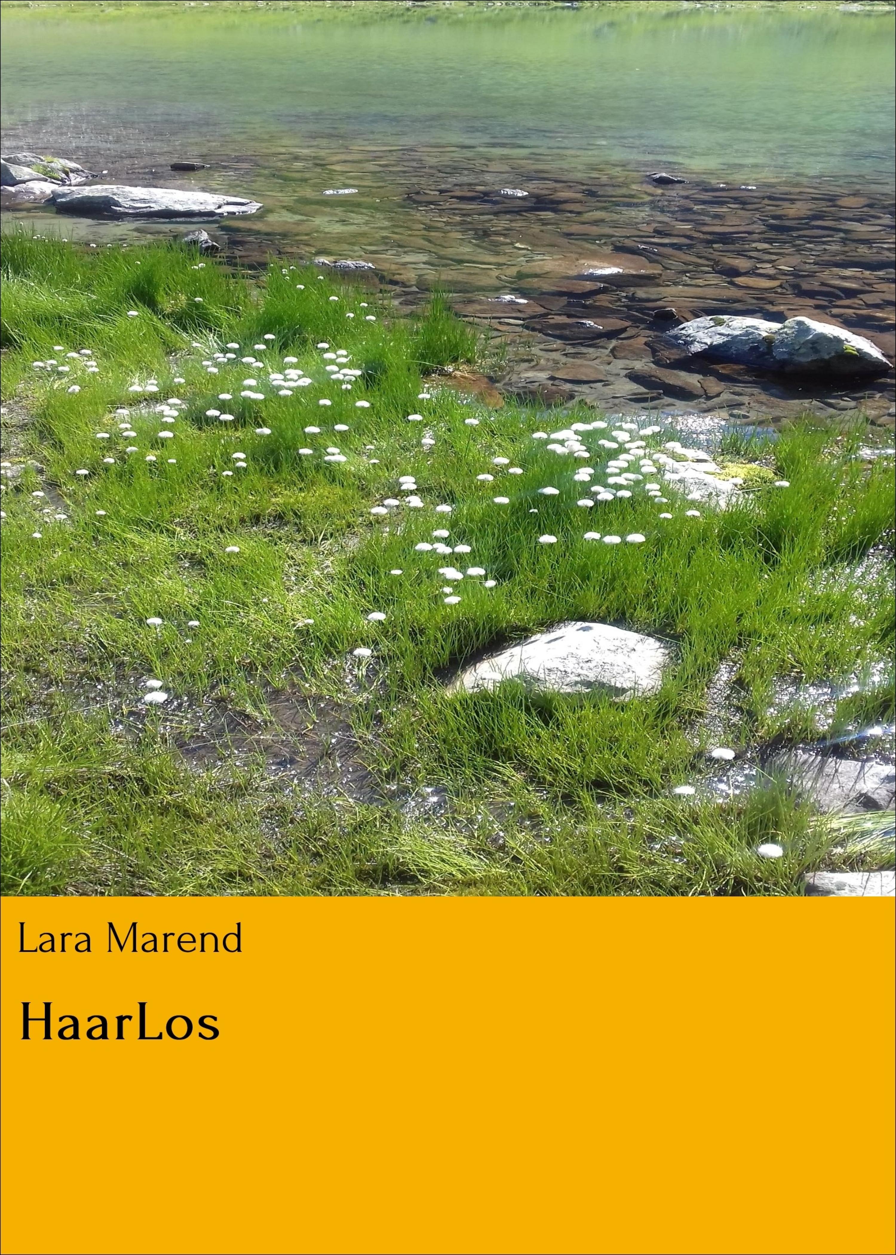 Обложка книги «HaarLos»