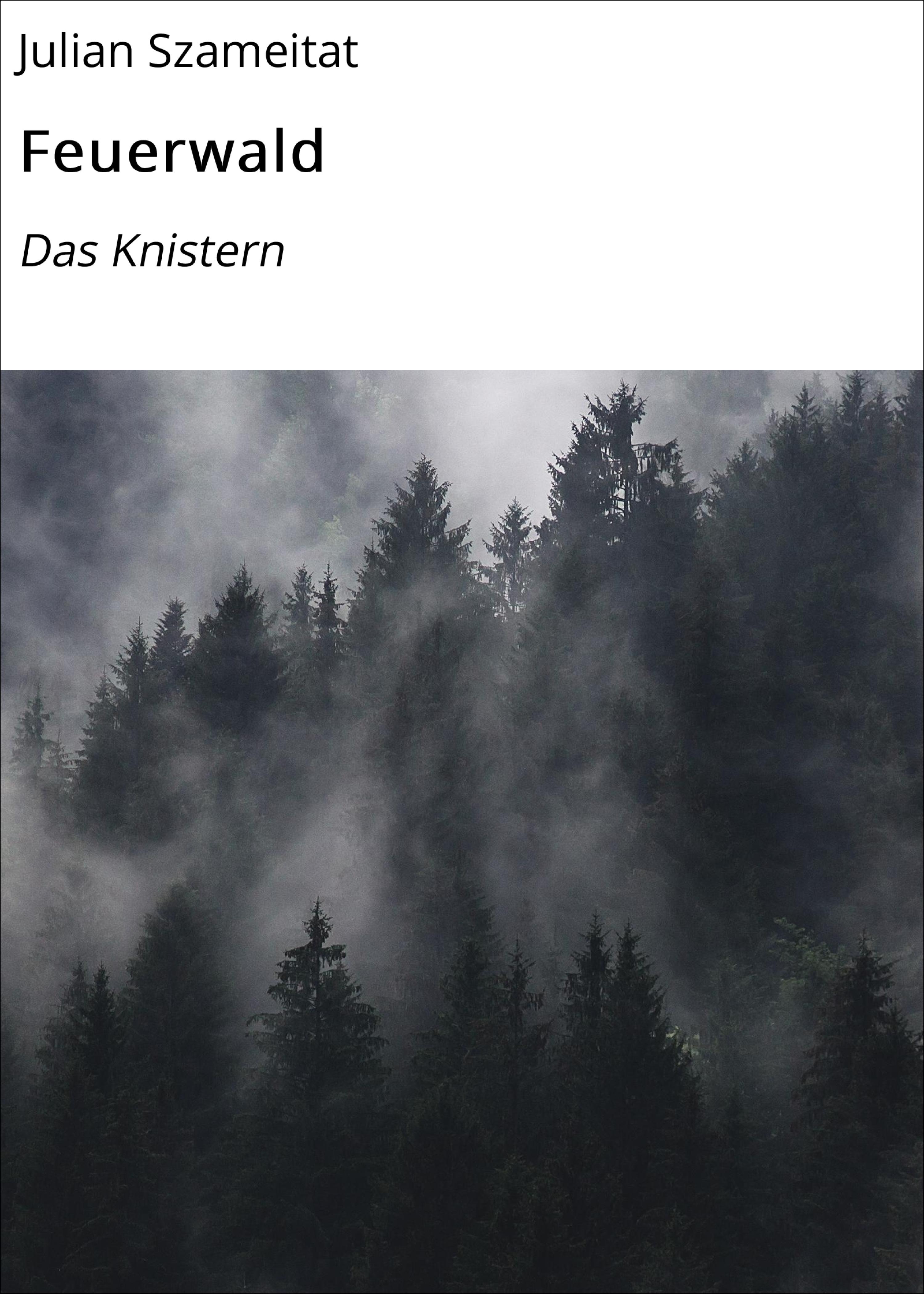 Обложка книги «Feuerwald»