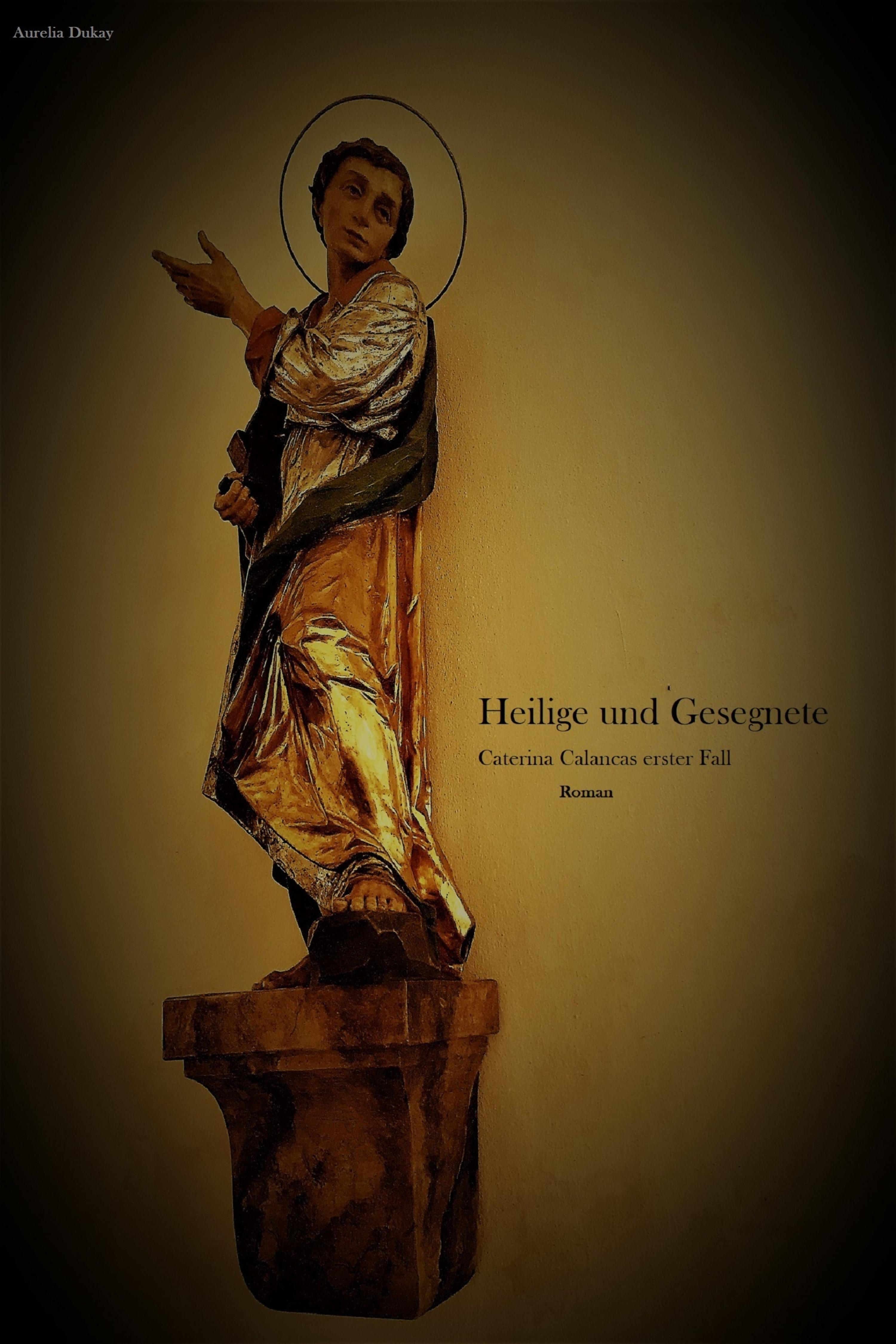 Обложка книги «Heilige und Gesegnete»
