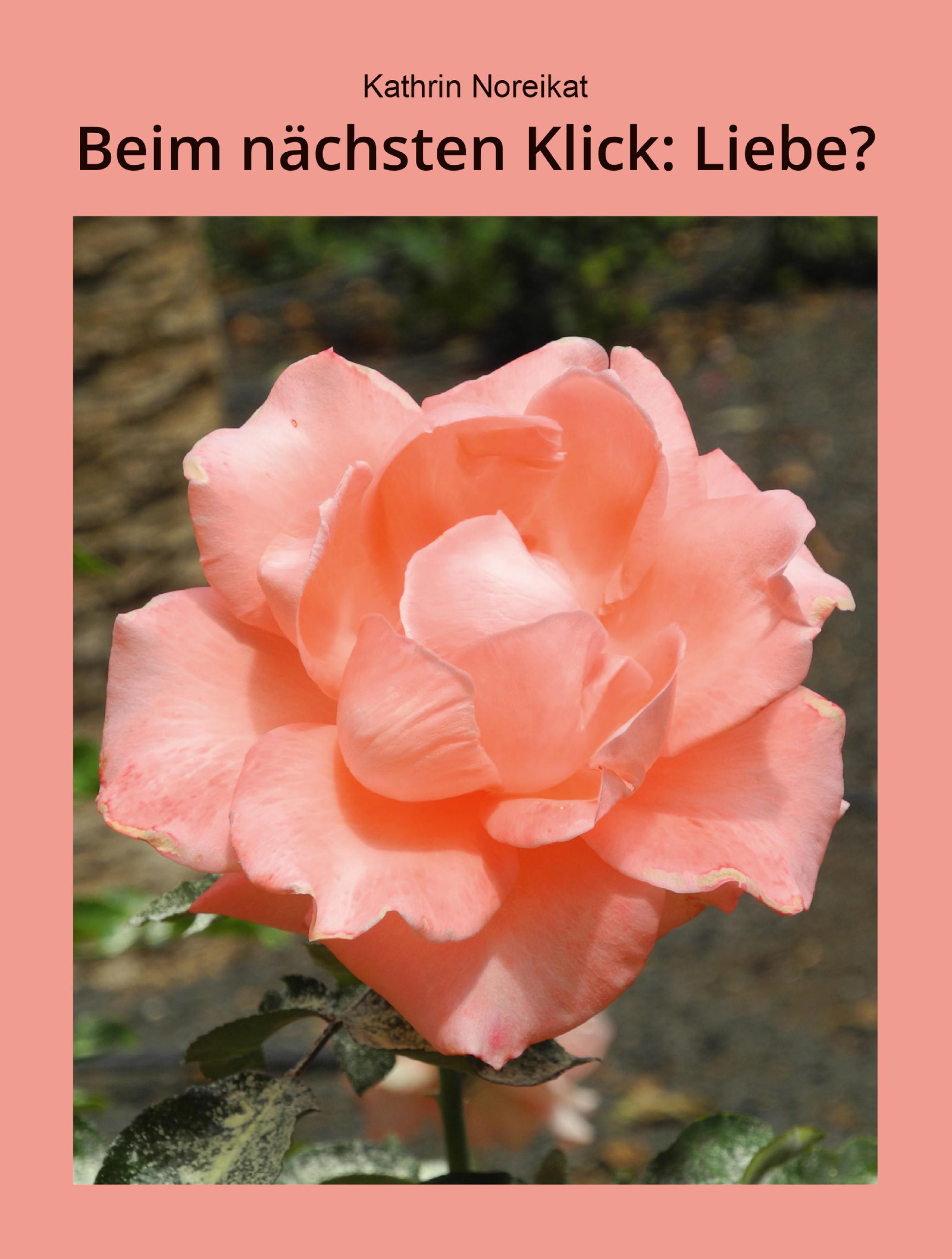 Обложка книги «Beim nächsten Klick: Liebe?»