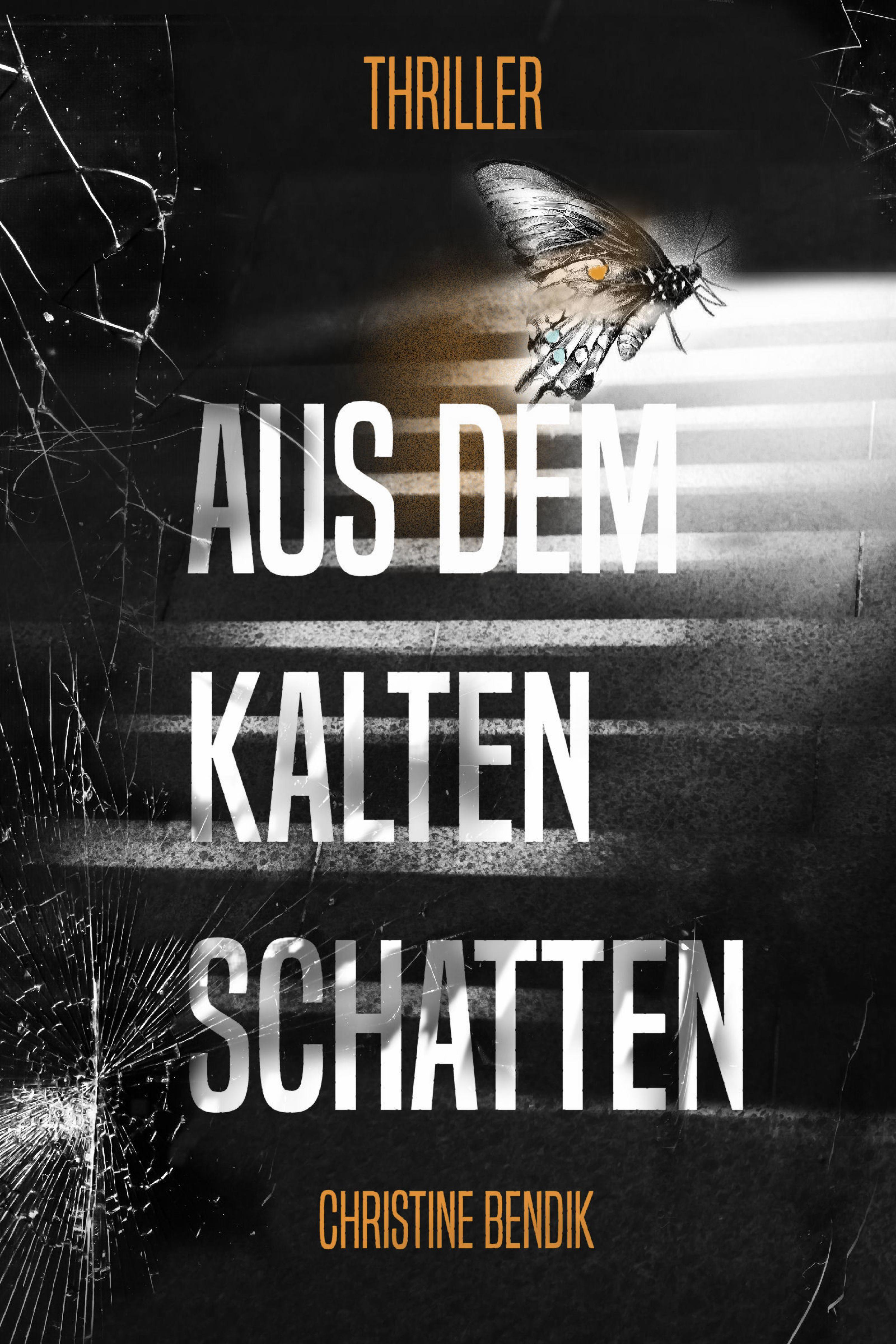Обложка книги «Aus dem kalten Schatten»