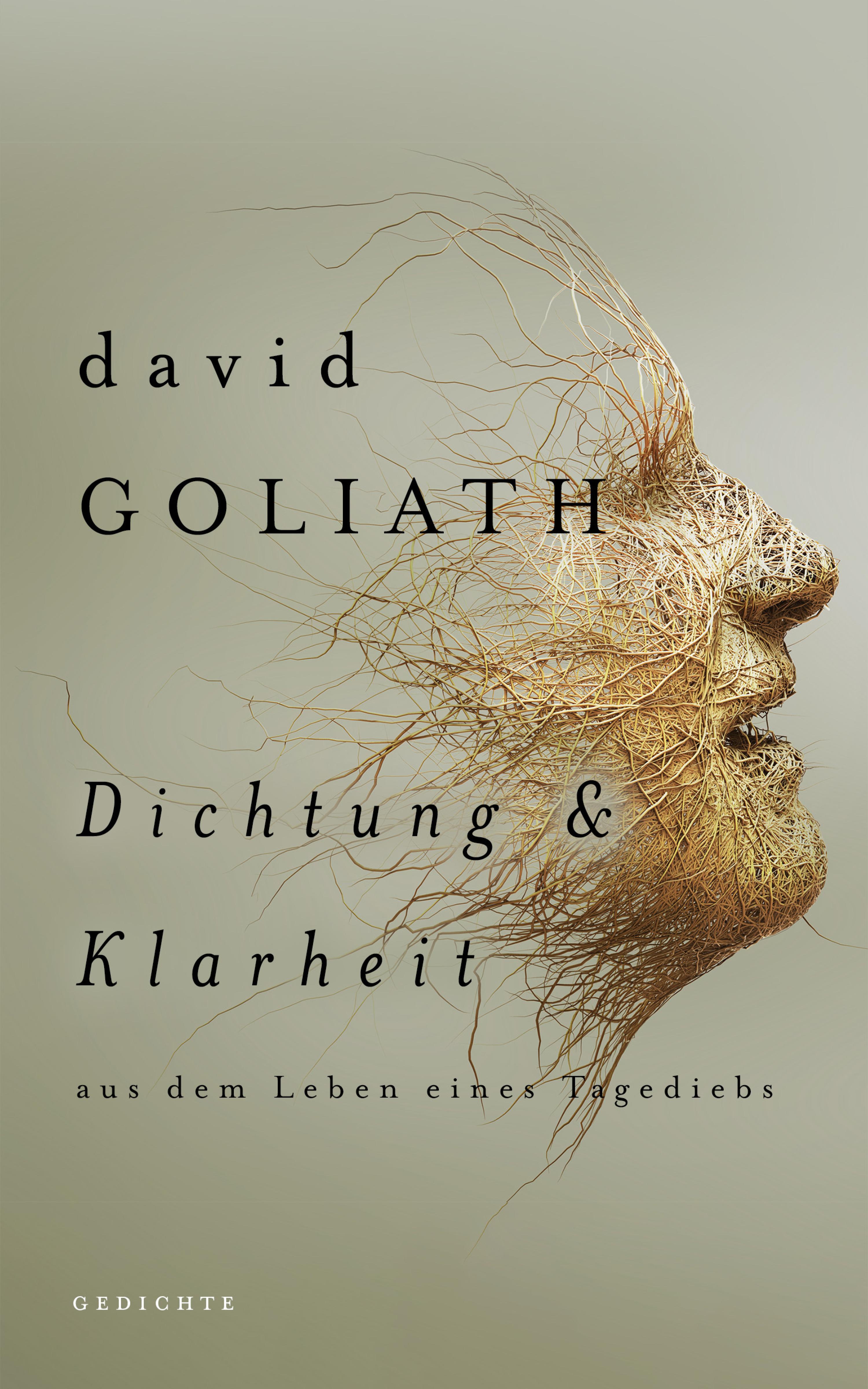 Обложка книги «Dichtung und Klarheit»