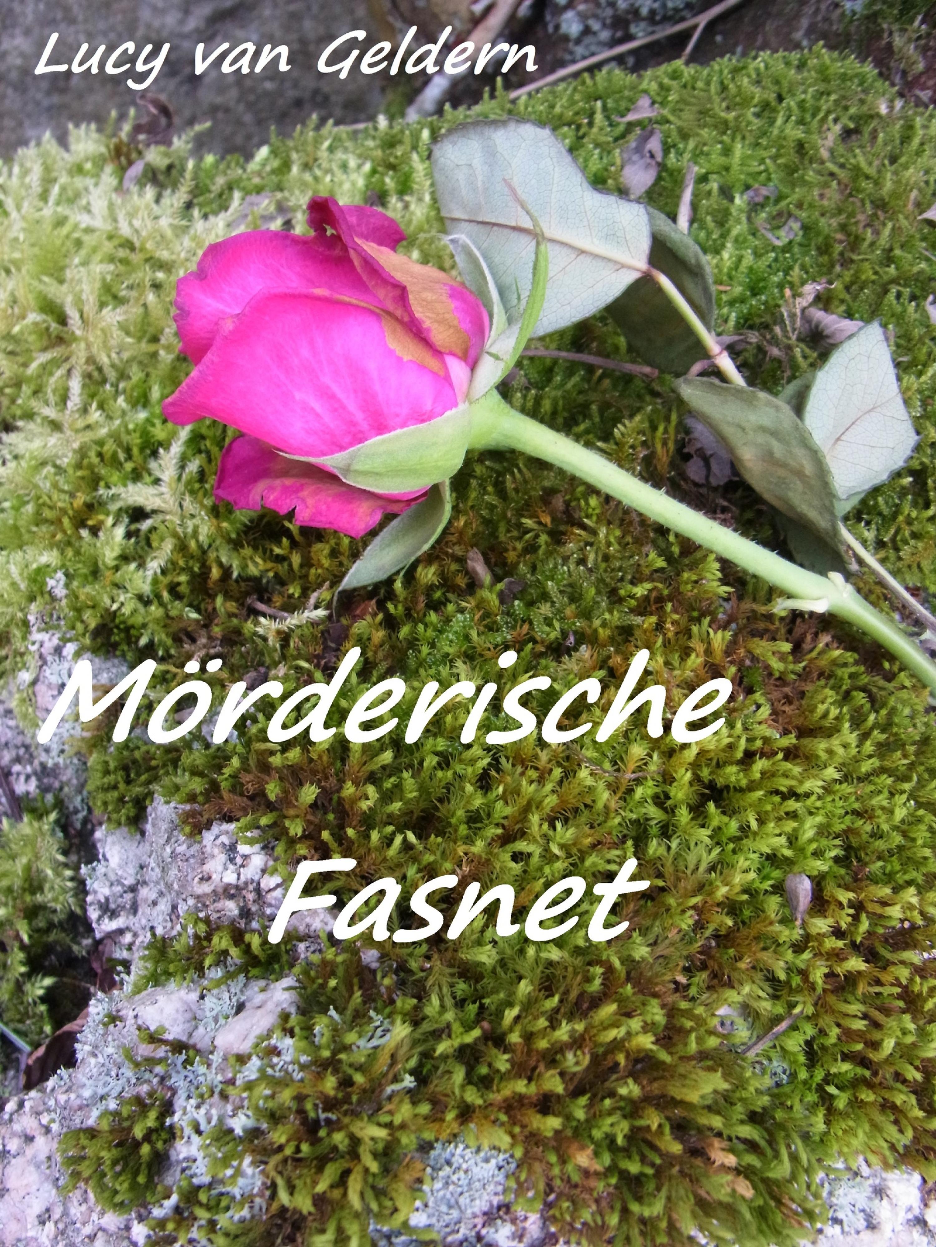Обложка книги «Mörderische Fasnet»