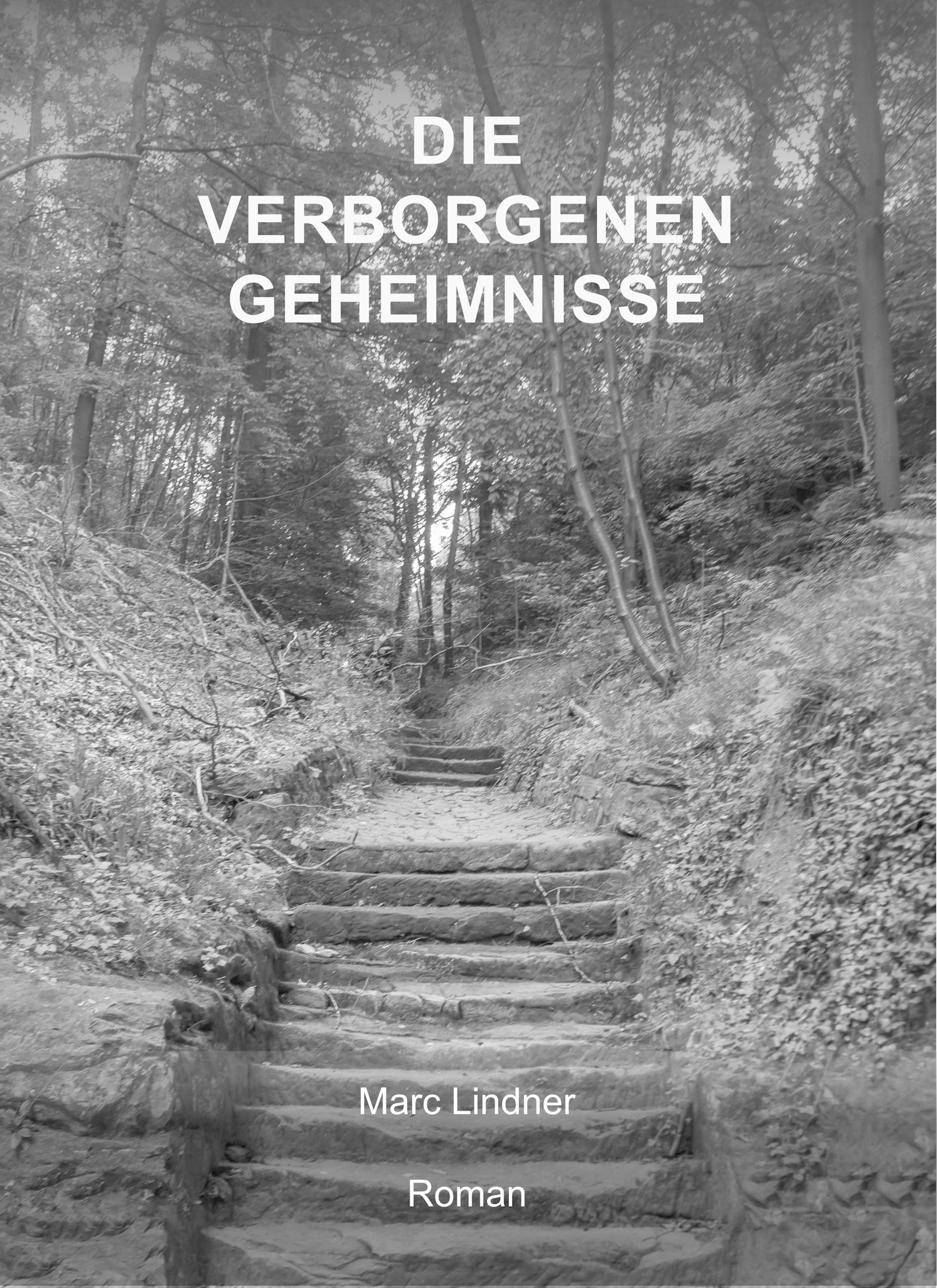 Обложка книги «Die verborgenen Geheimnisse»