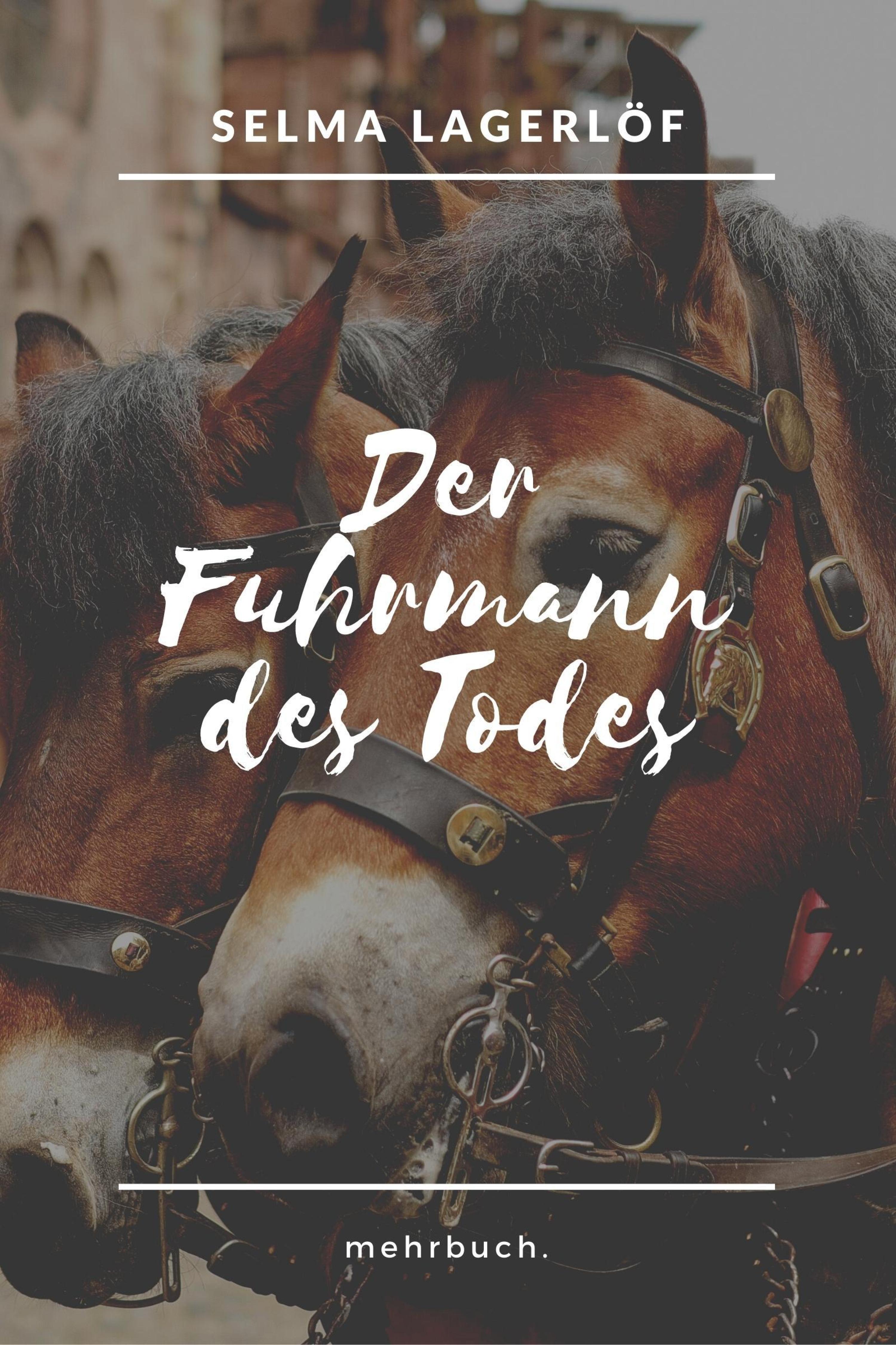 Обложка книги «Der Fuhrmann des Todes»