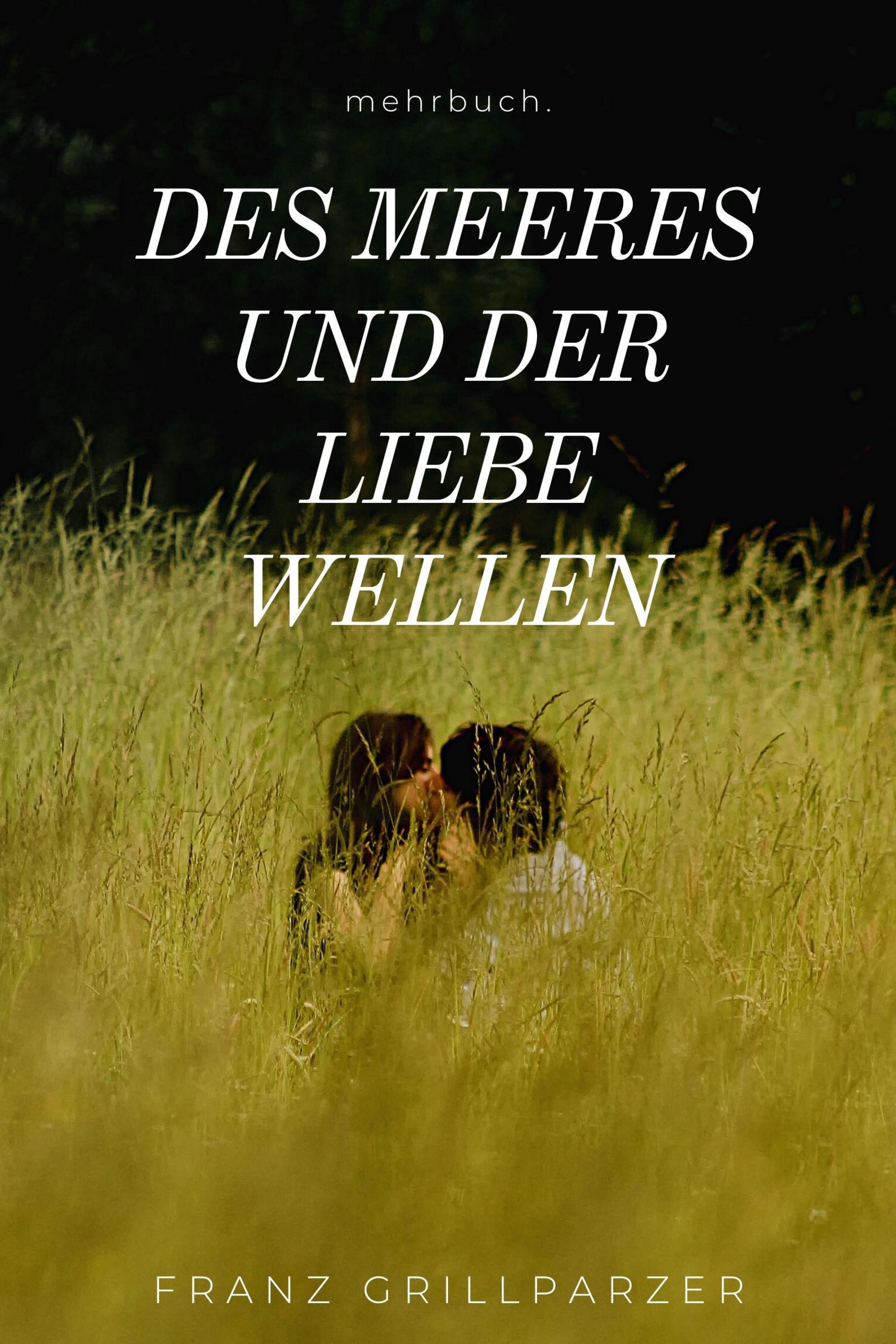 Обложка книги «Des Meeres und der Liebe Wellen»