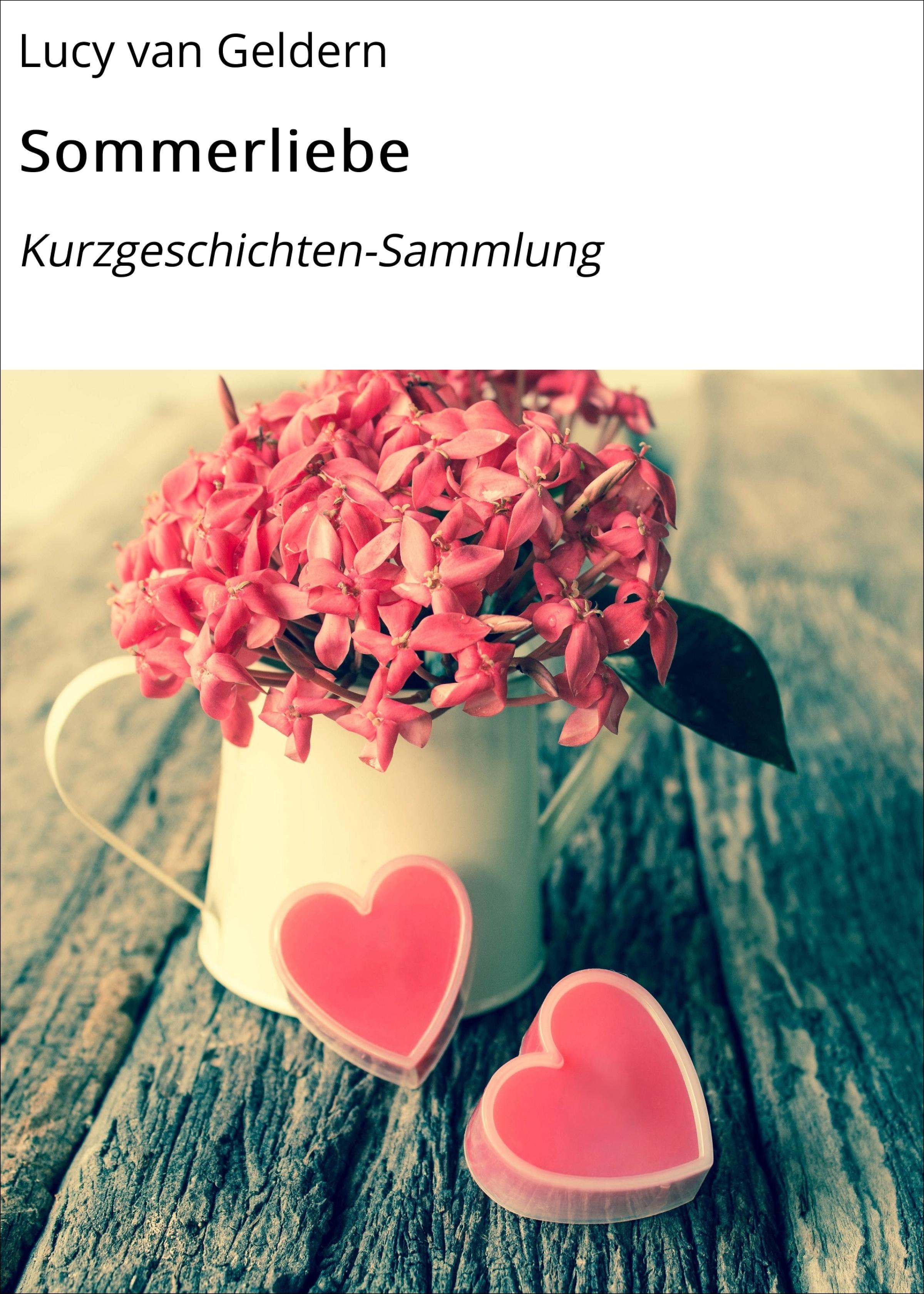 Обложка книги «Sommerliebe»