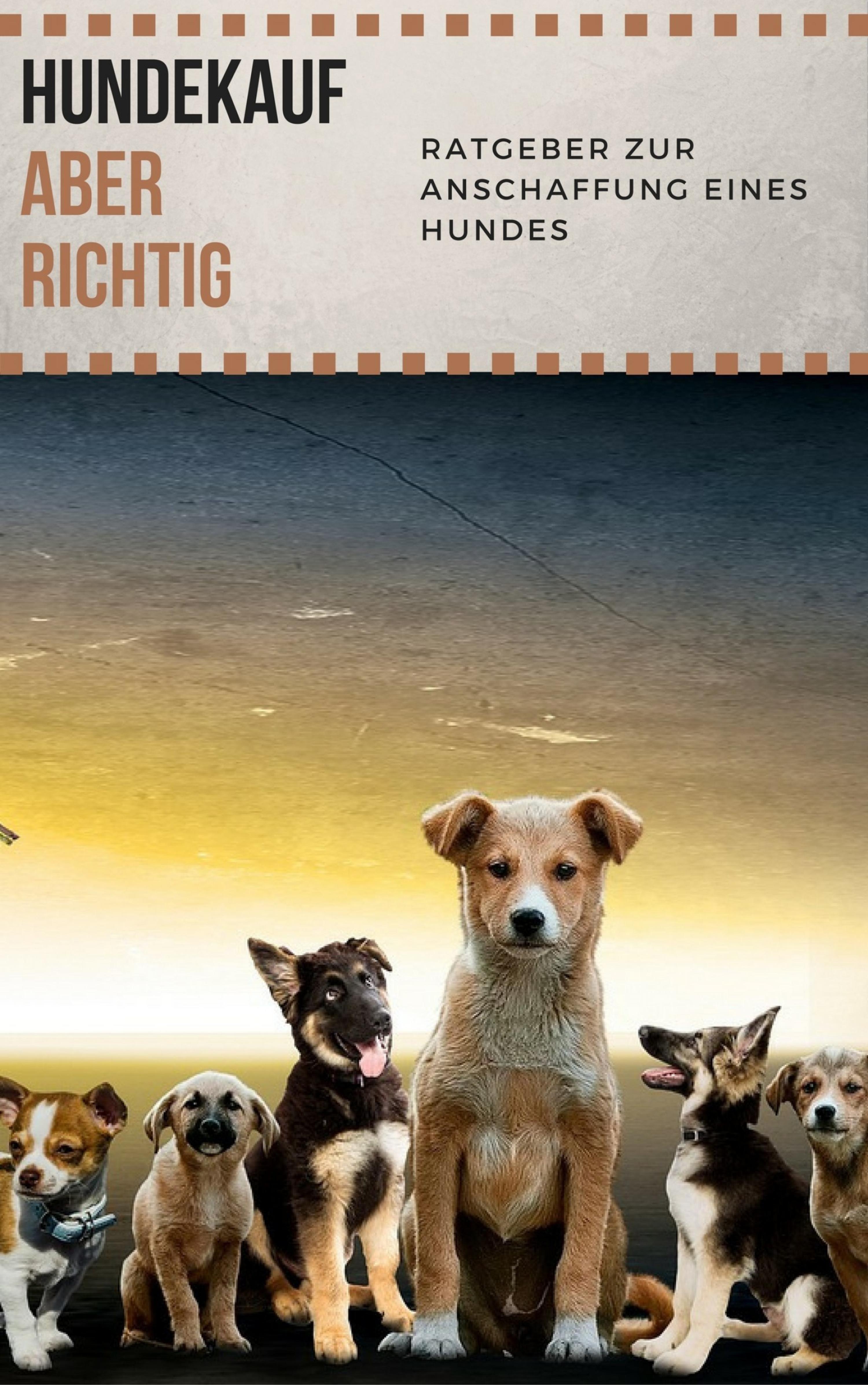 Обложка книги «Hundekauf ABER RICHTIG - Ratgeber zur Anschaffung eines Hundes»