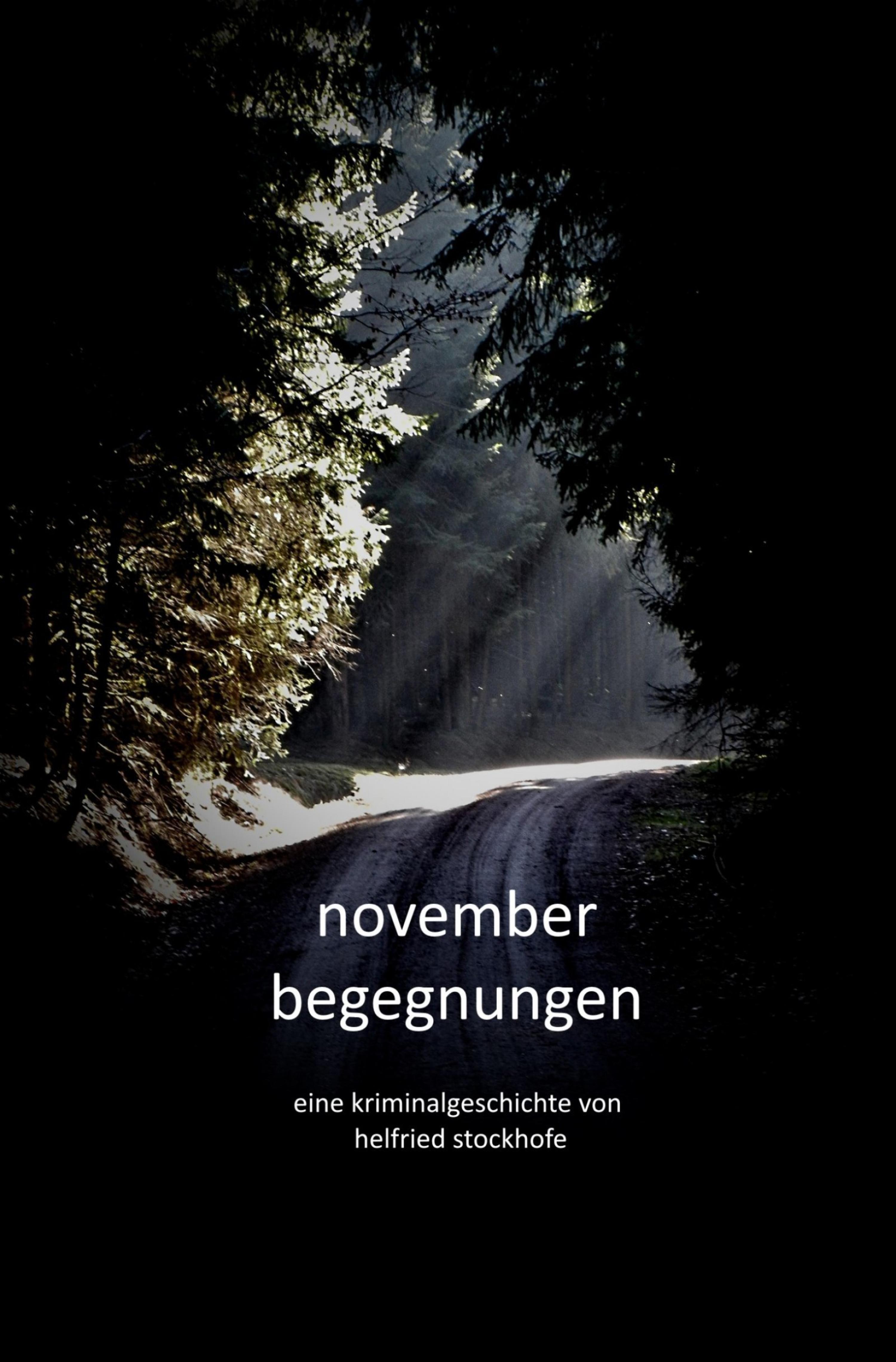 Обложка книги «Novemberbegegnungen»