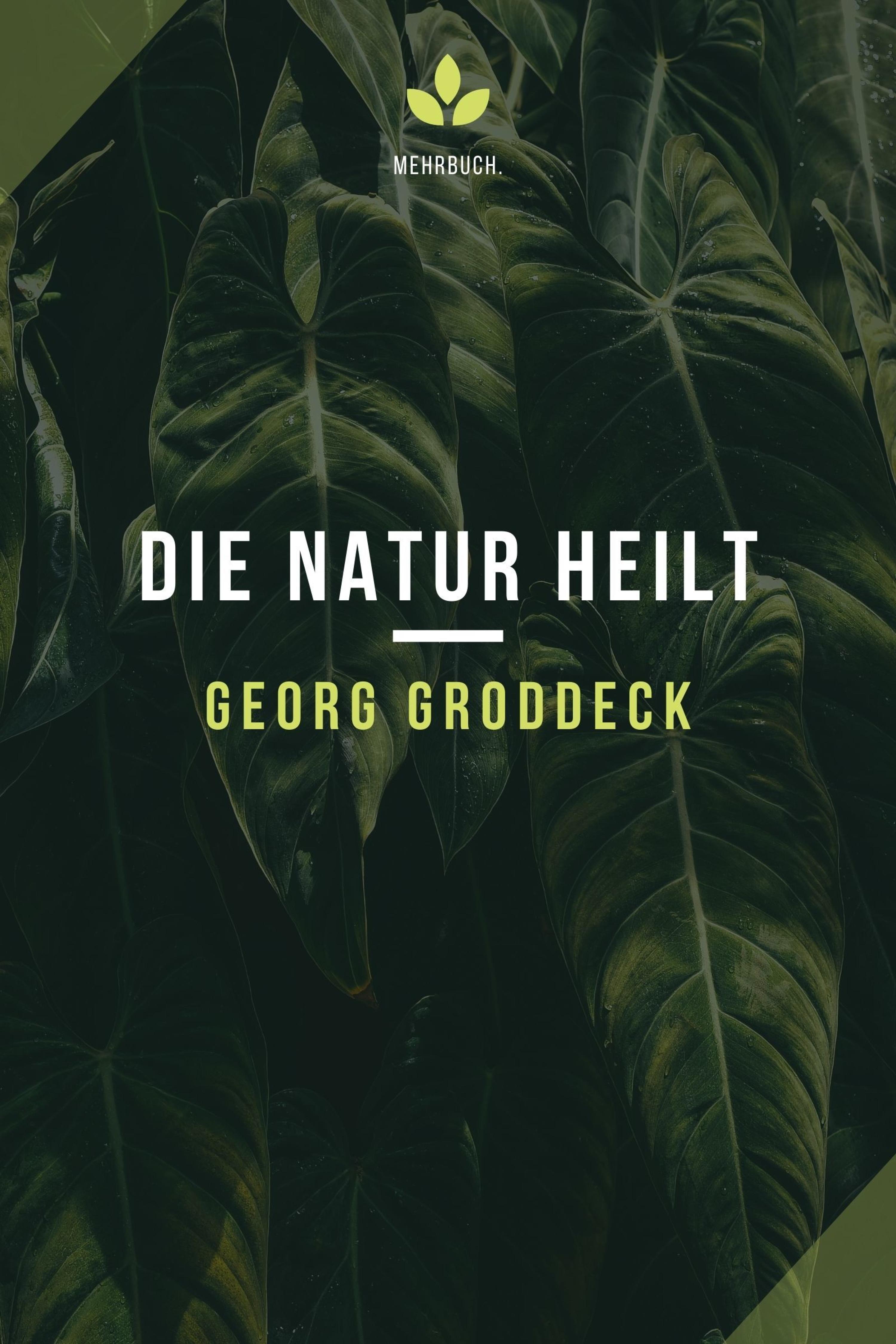 Обложка книги «Die Natur heilt»