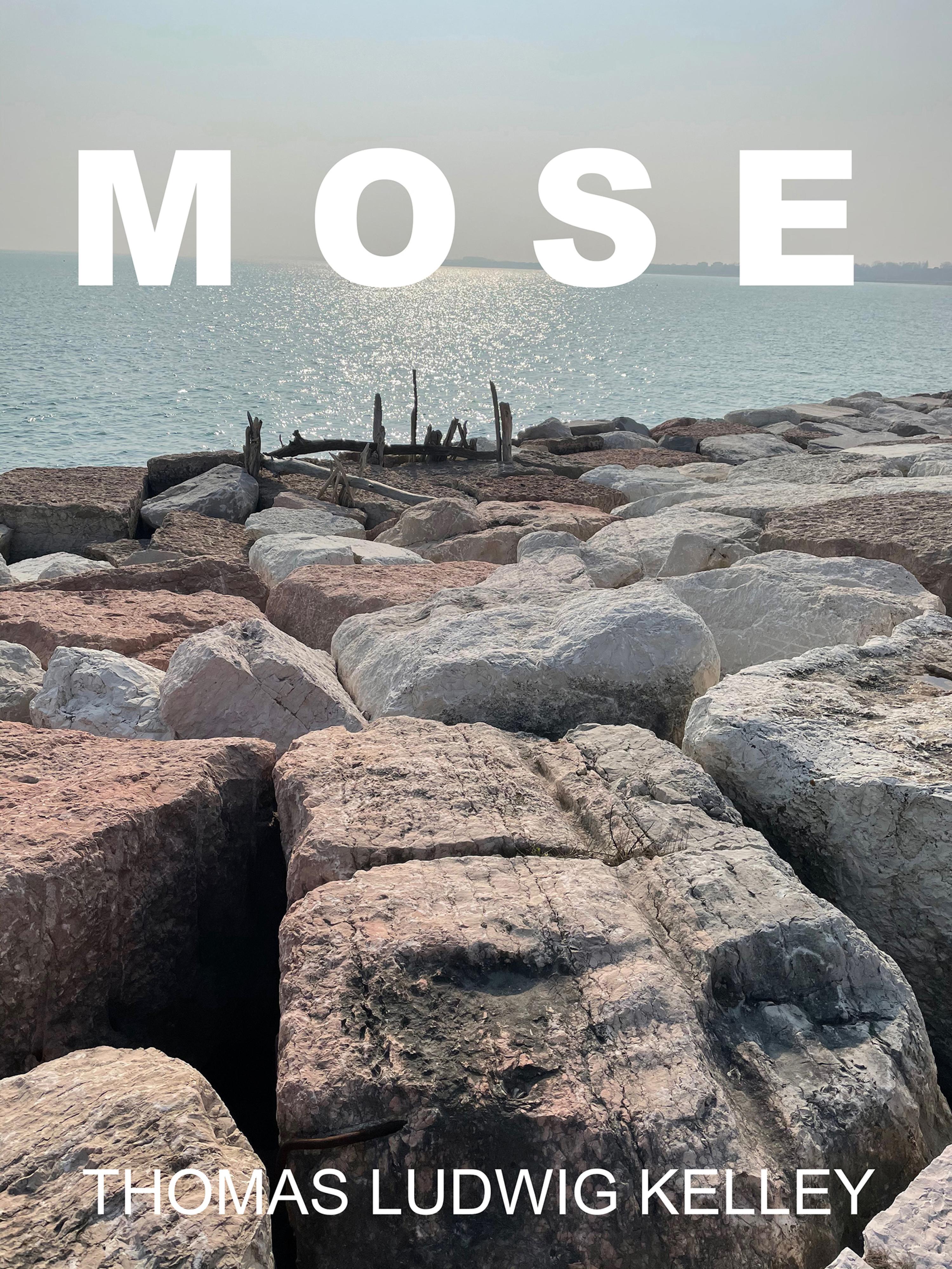 Обложка книги «MOSE»
