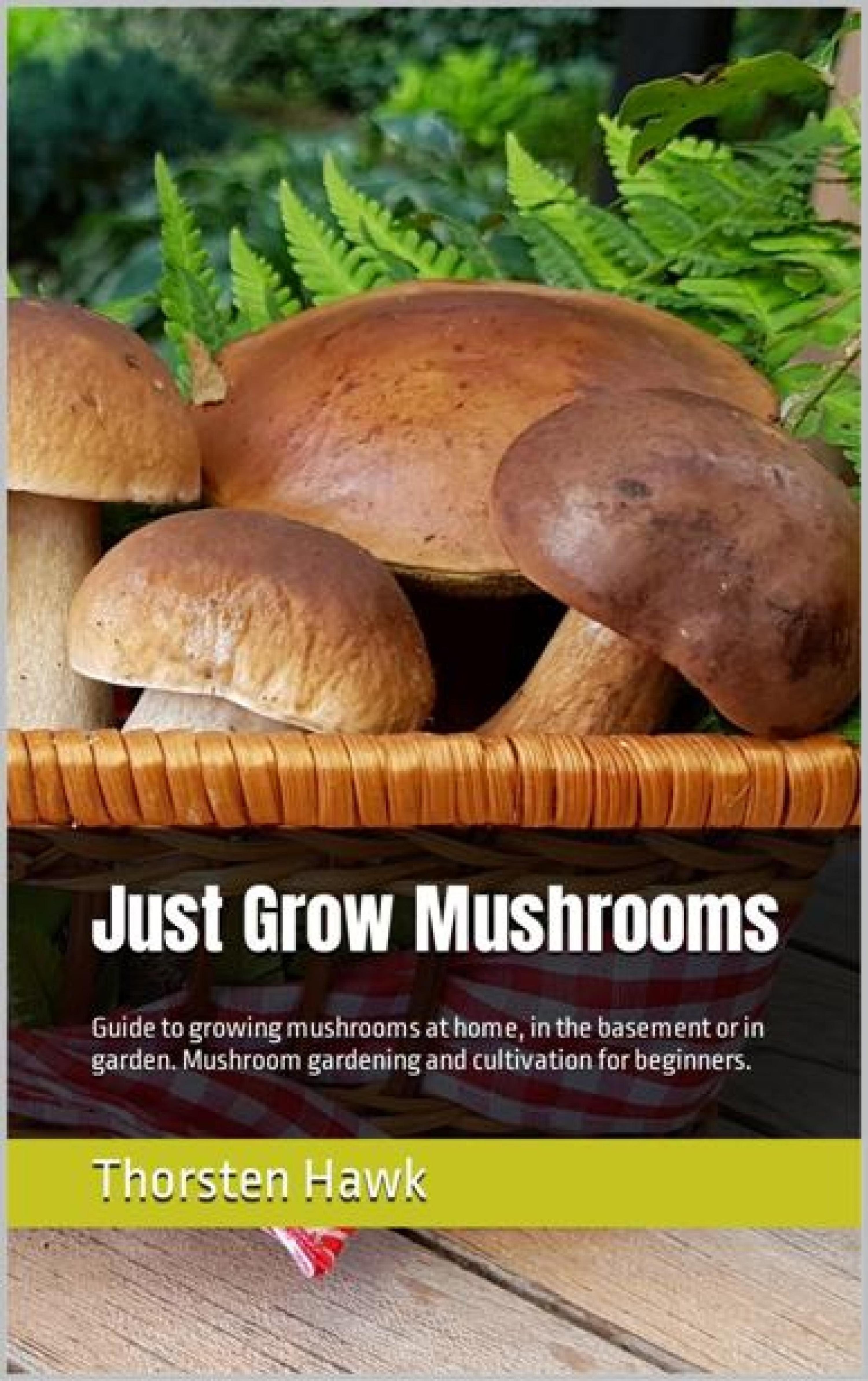 Обложка книги «Just Grow Mushrooms»