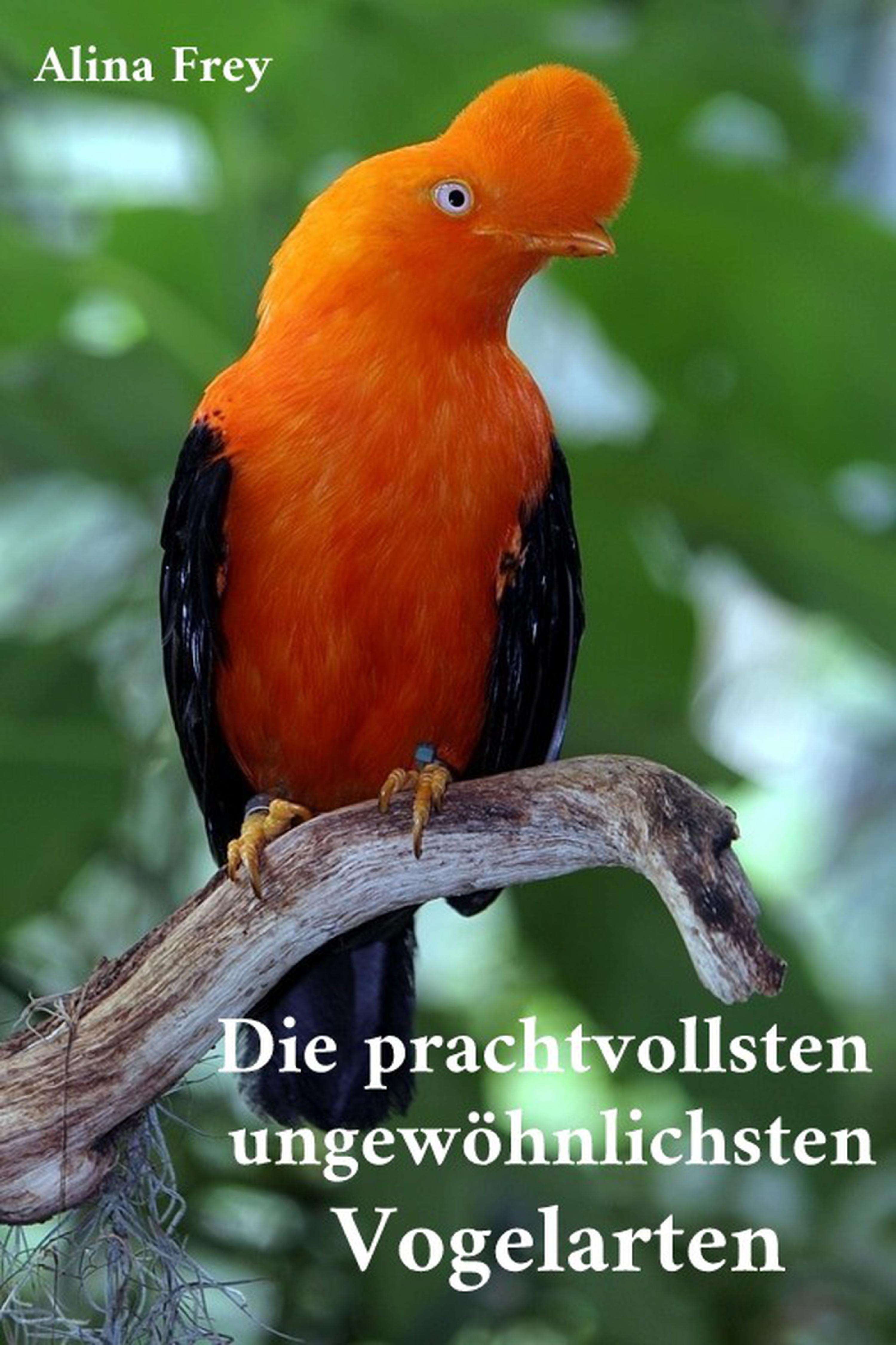 Обложка книги «Die prachvollsten ungewöhnlichsten Vogelarten»