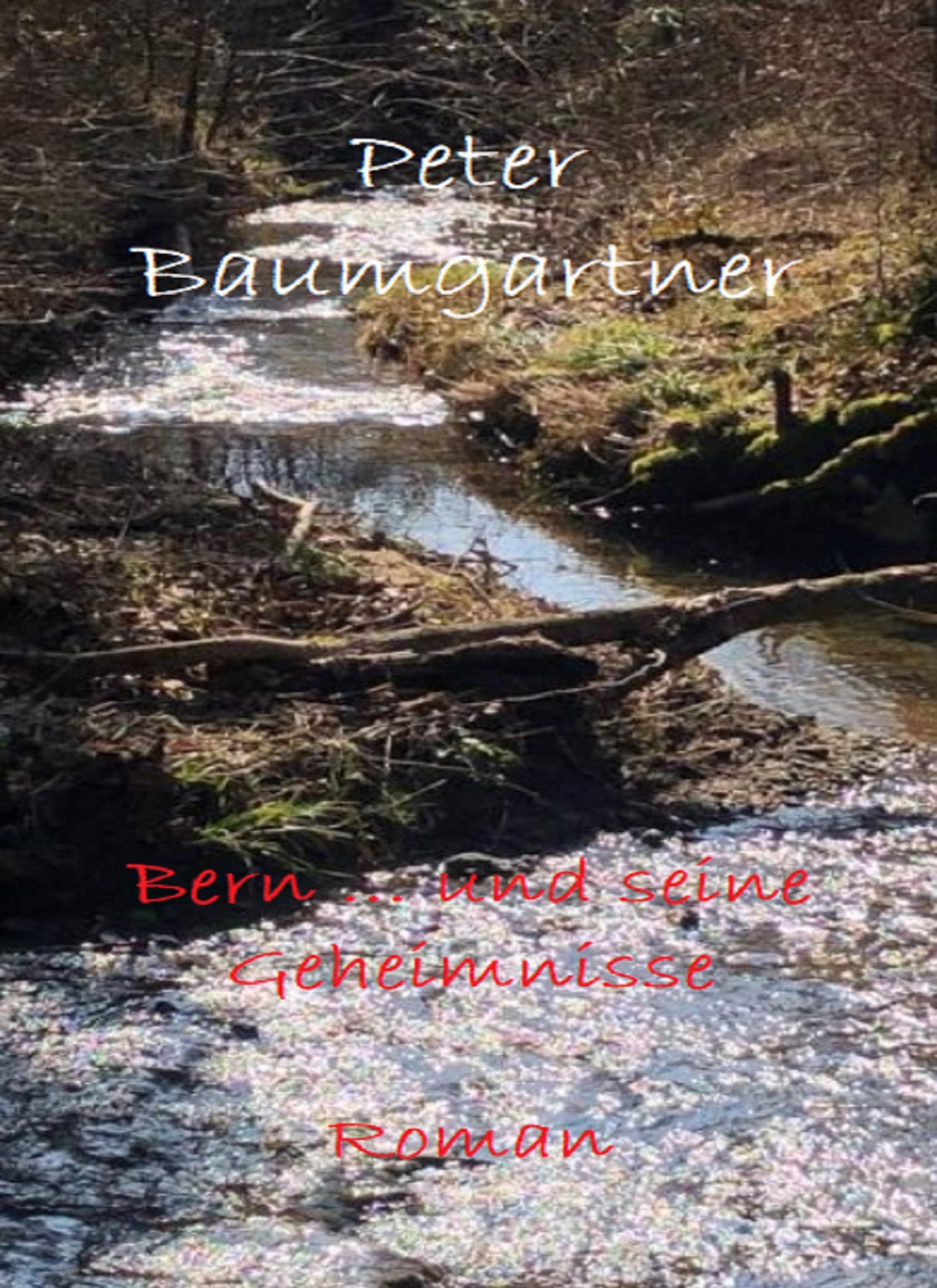 Обложка книги «Bern ... und seine Geheimnisse»