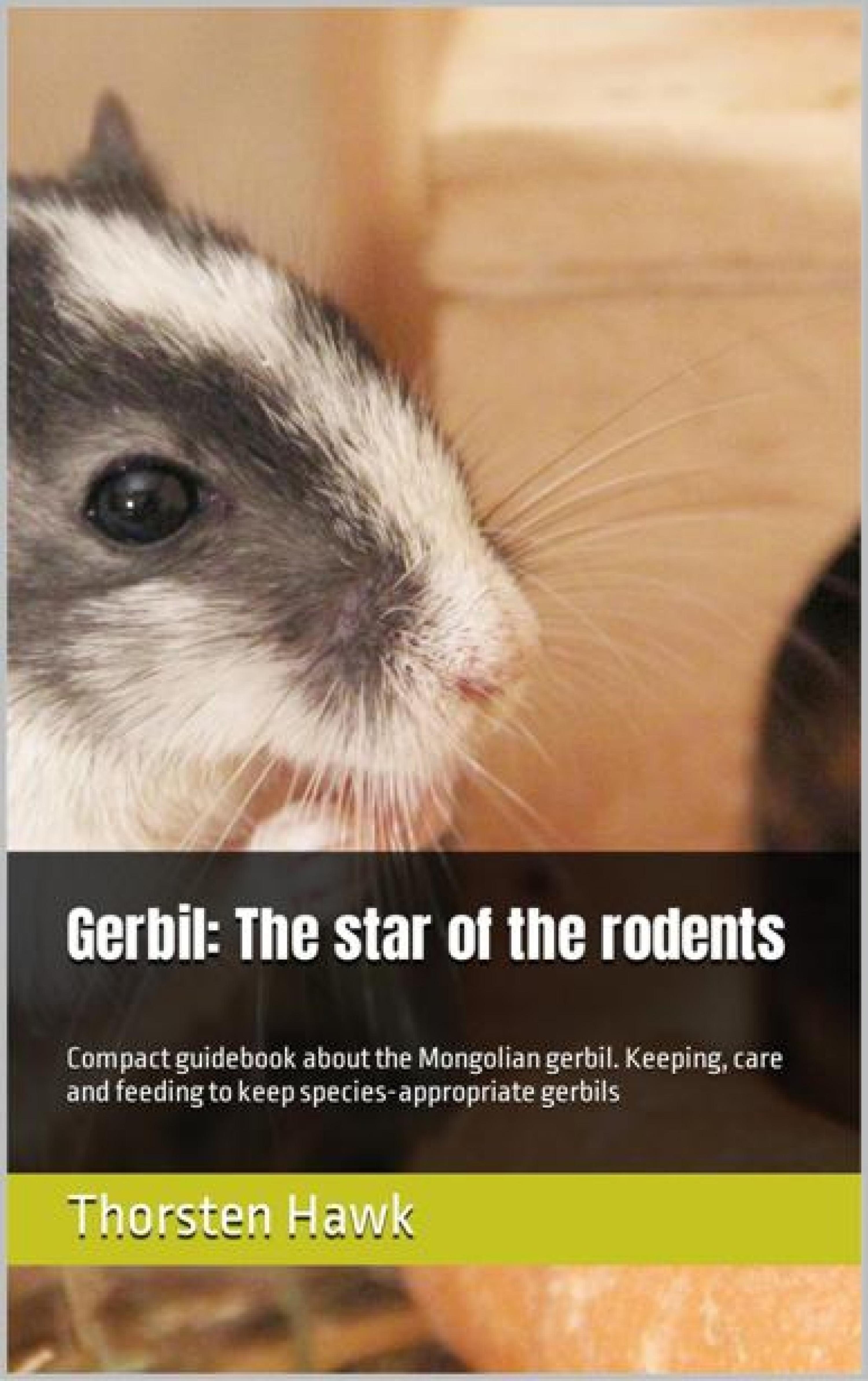 Обложка книги «Gerbil: The star of the rodents»
