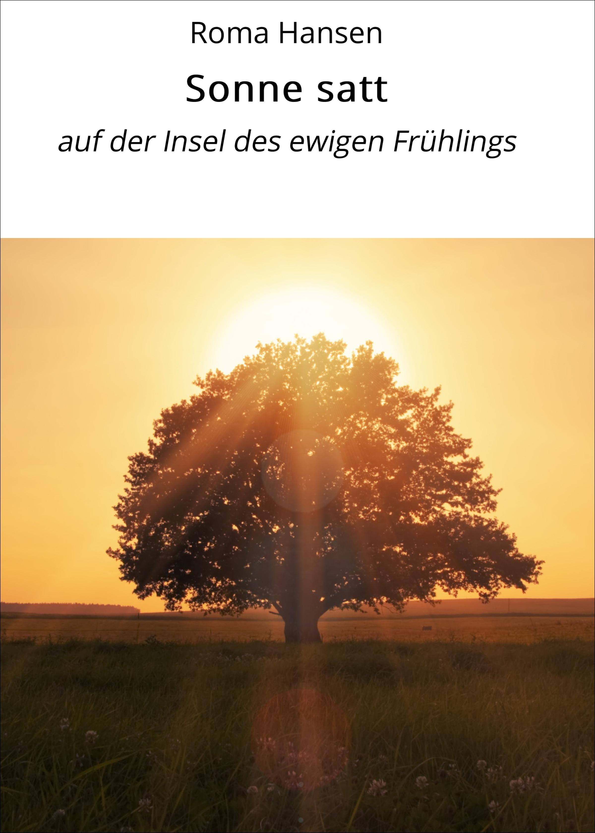 Обложка книги «Sonne satt»