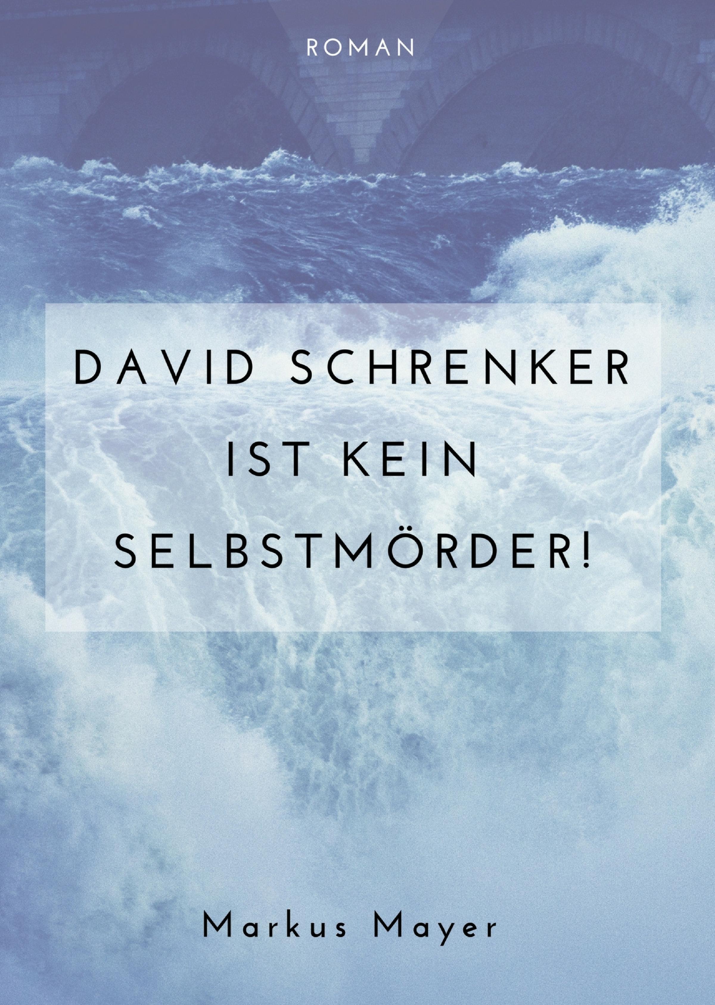 Обложка книги «David Schrenker ist kein Selbstmörder!»
