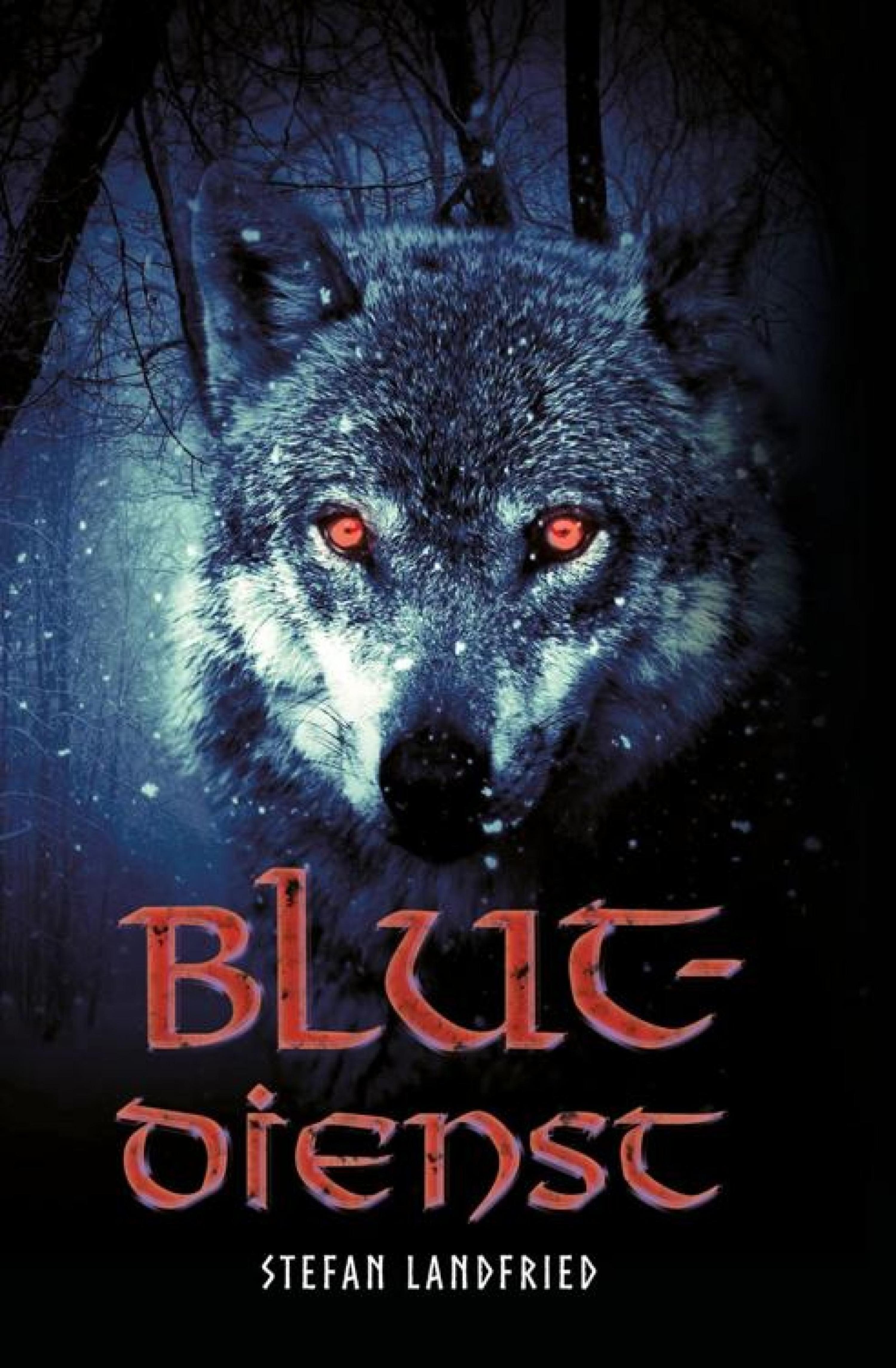 Обложка книги «Blutdienst»